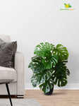Artificial Monstera Plant – 78 cm, 18 Leaves, Light Green, with Basic Pot