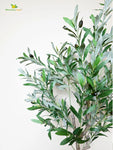 Overleaf Faux Olive Tree - 145 cm