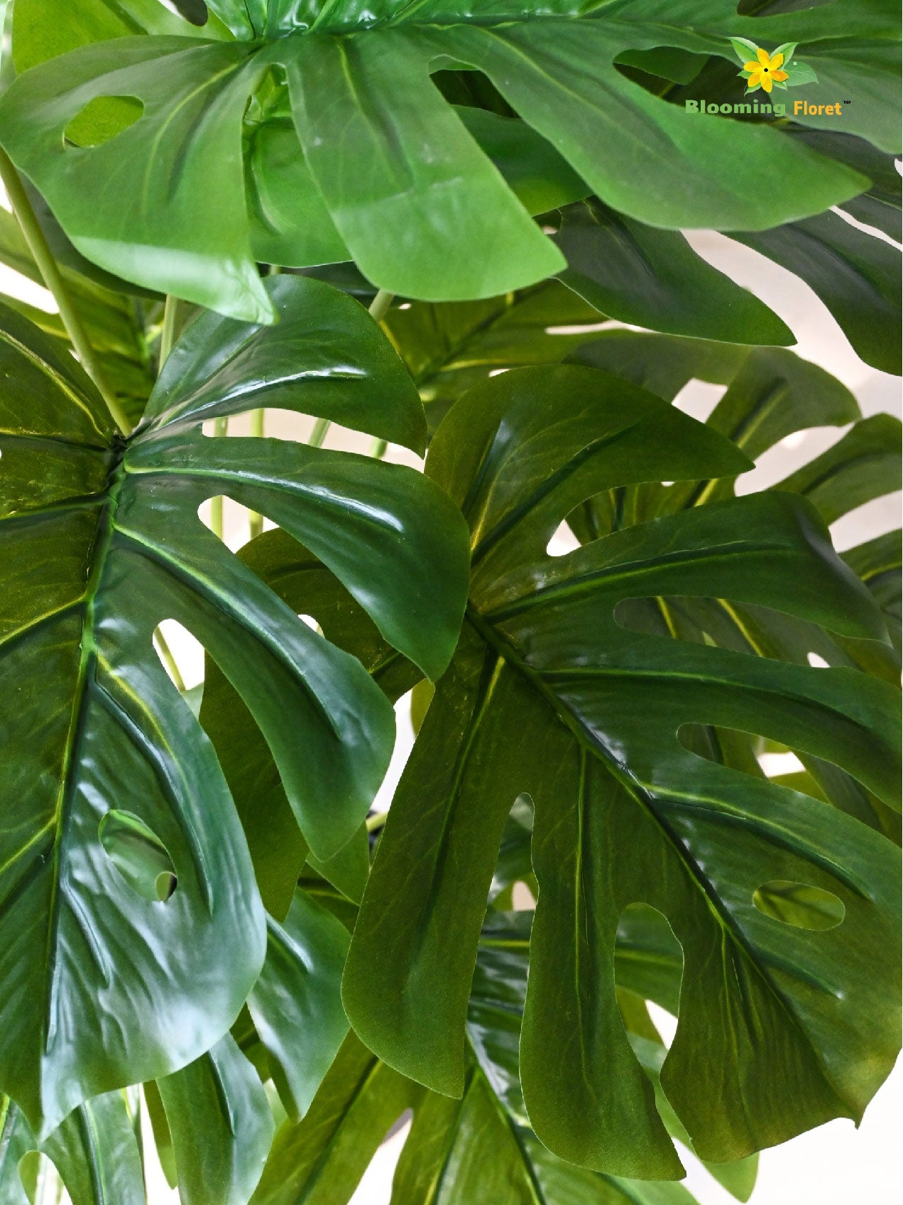Artificial Monstera Plant | 73.5 cm | 18 Leaves | With Basic Pot