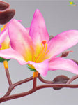 Artificial Cymbidium Orchid Bunch Flower - Pink