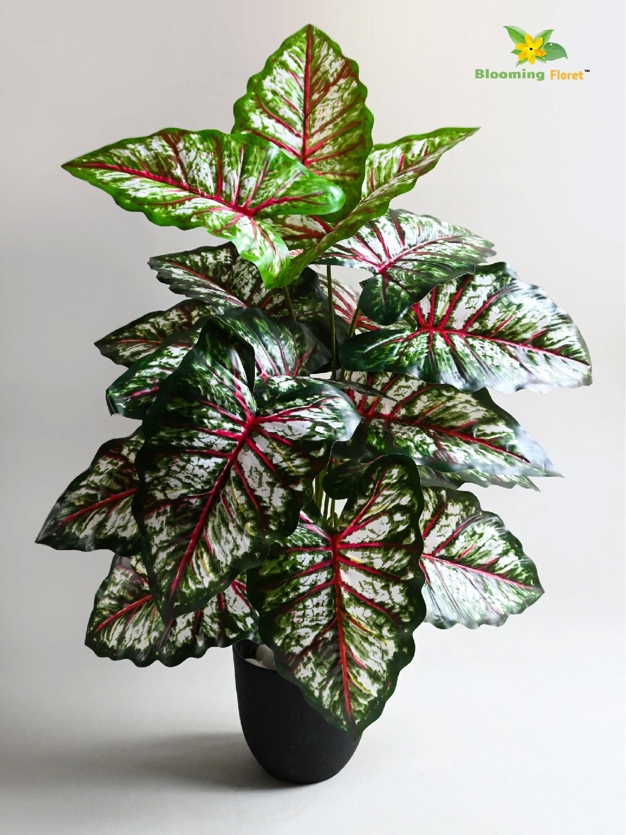 Artificial Tropical Caladium Plant – 78 cm, 18 Patterned Red and White Leaves, with Basic Pot