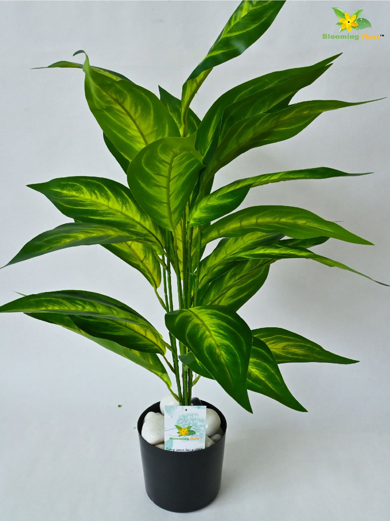 Artificial Dieffenbachia Amoena Plant – 71 cm, 26 Leaves, with Pot