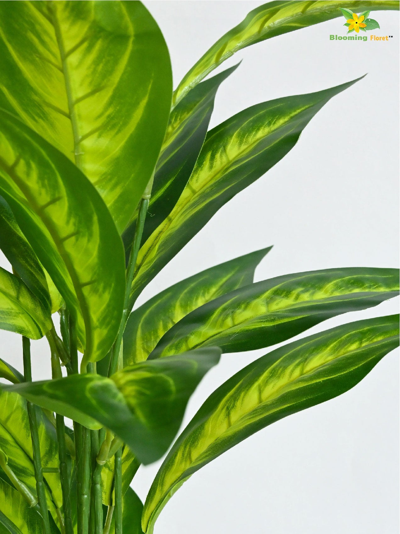 Artificial Dieffenbachia Amoena Plant – 71 cm, 26 Leaves, with Pot