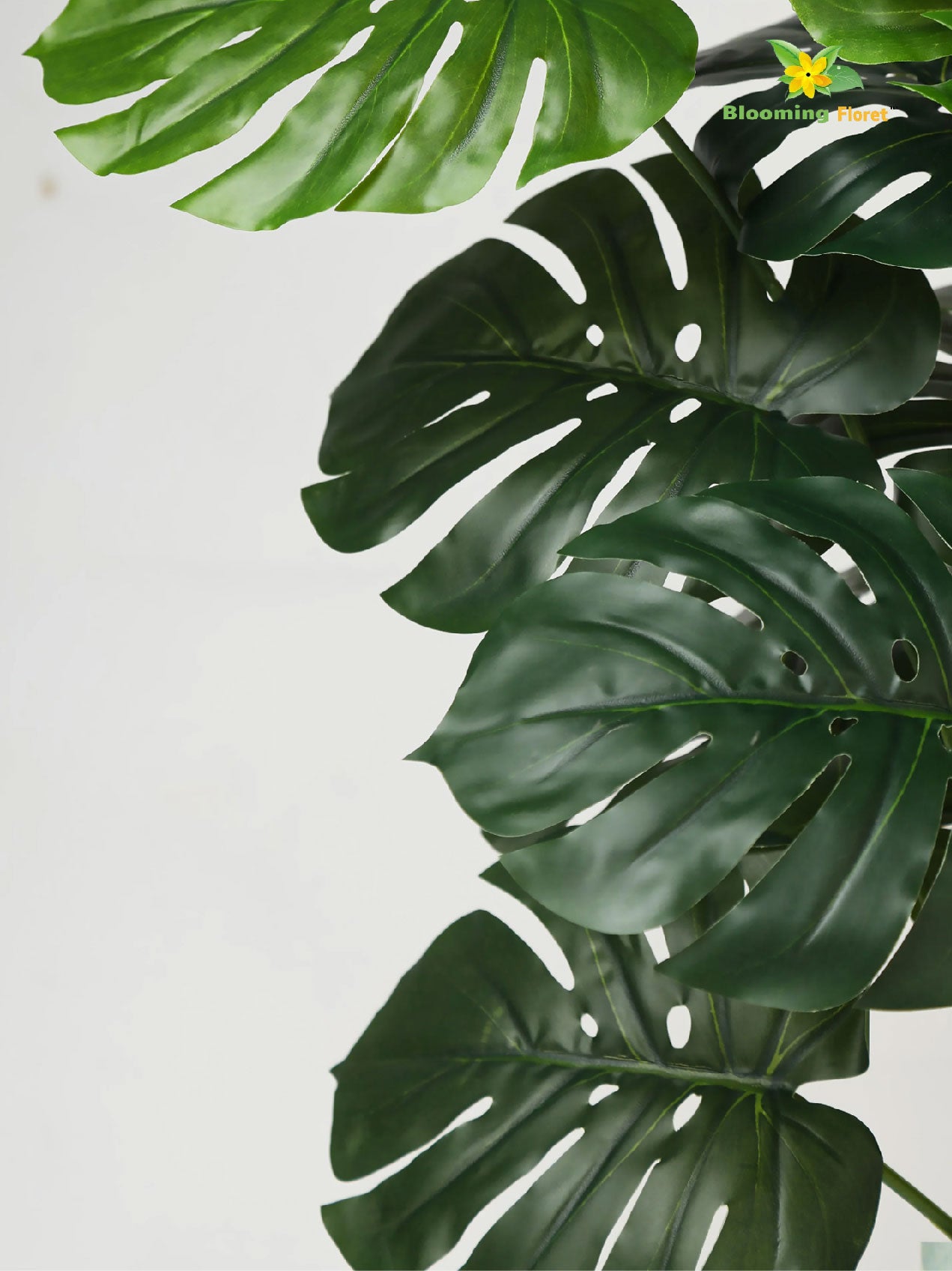 Artificial Monstera Plant | 73.5 cm | 18 Leaves | With Basic Pot