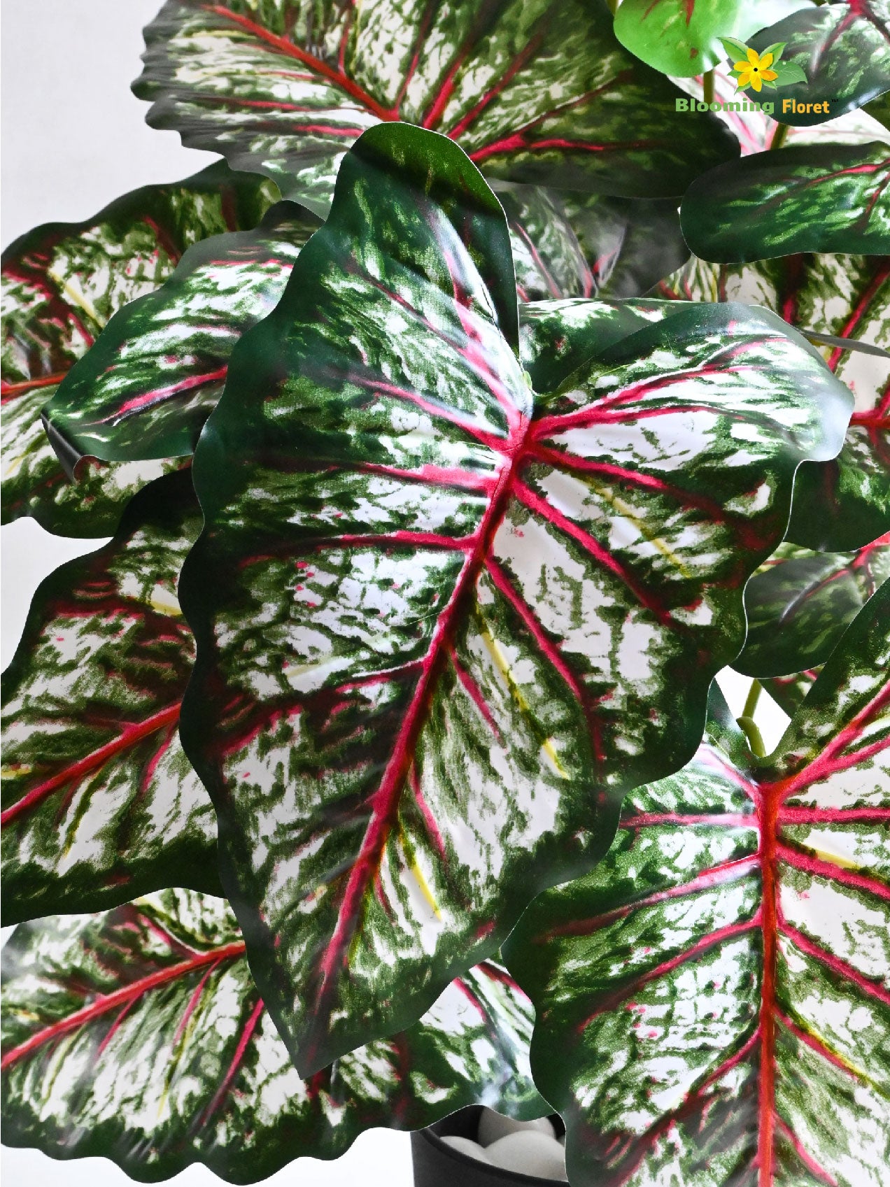 Artificial Tropical Caladium Plant – 78 cm, 18 Patterned Red and White Leaves, with Basic Pot