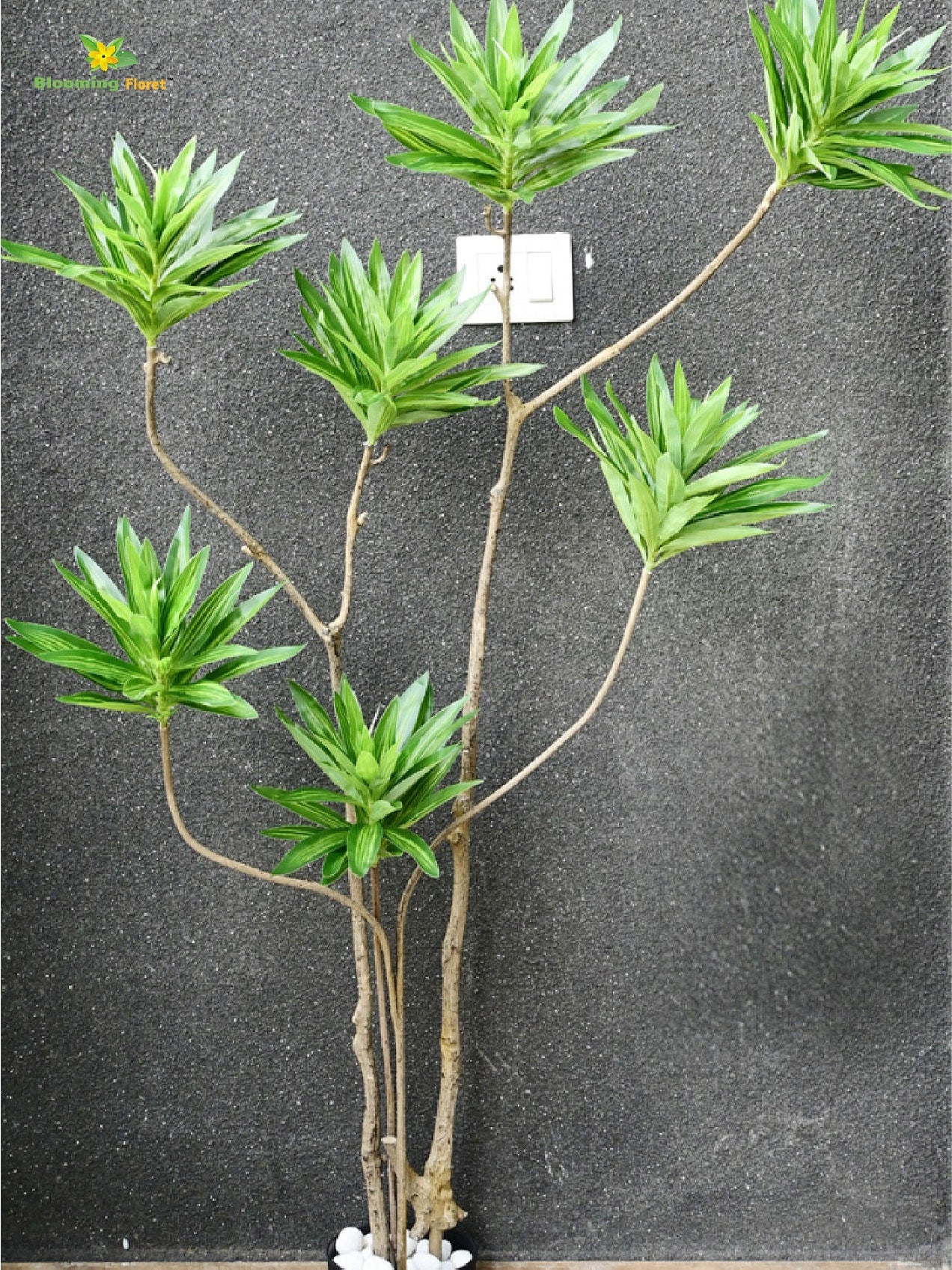 Artificial Green Haven Faux Dracaena Plant – 145 cm, with Basic Pot