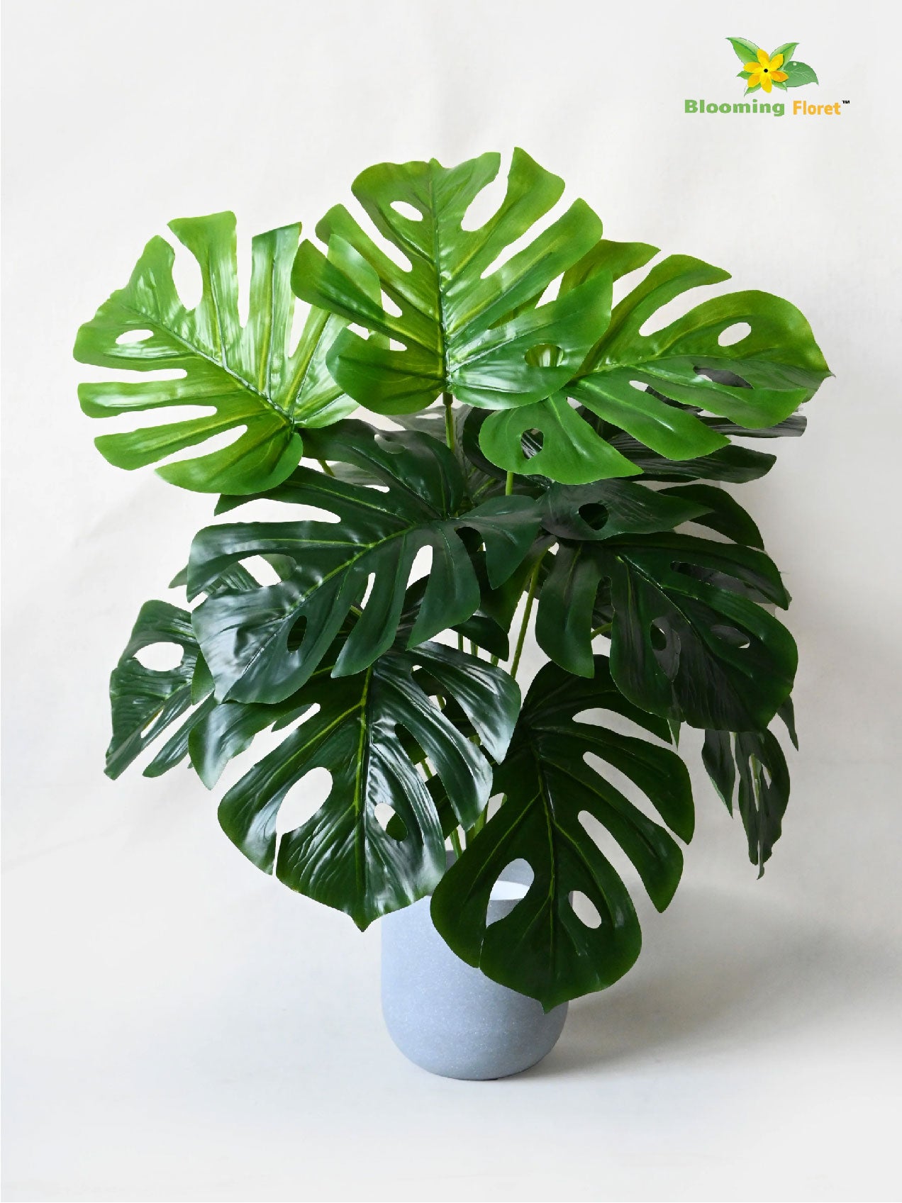 Artificial Monstera Plant | Light Green Leaves | 50 cm | 12 Leaves | With Basic Pot