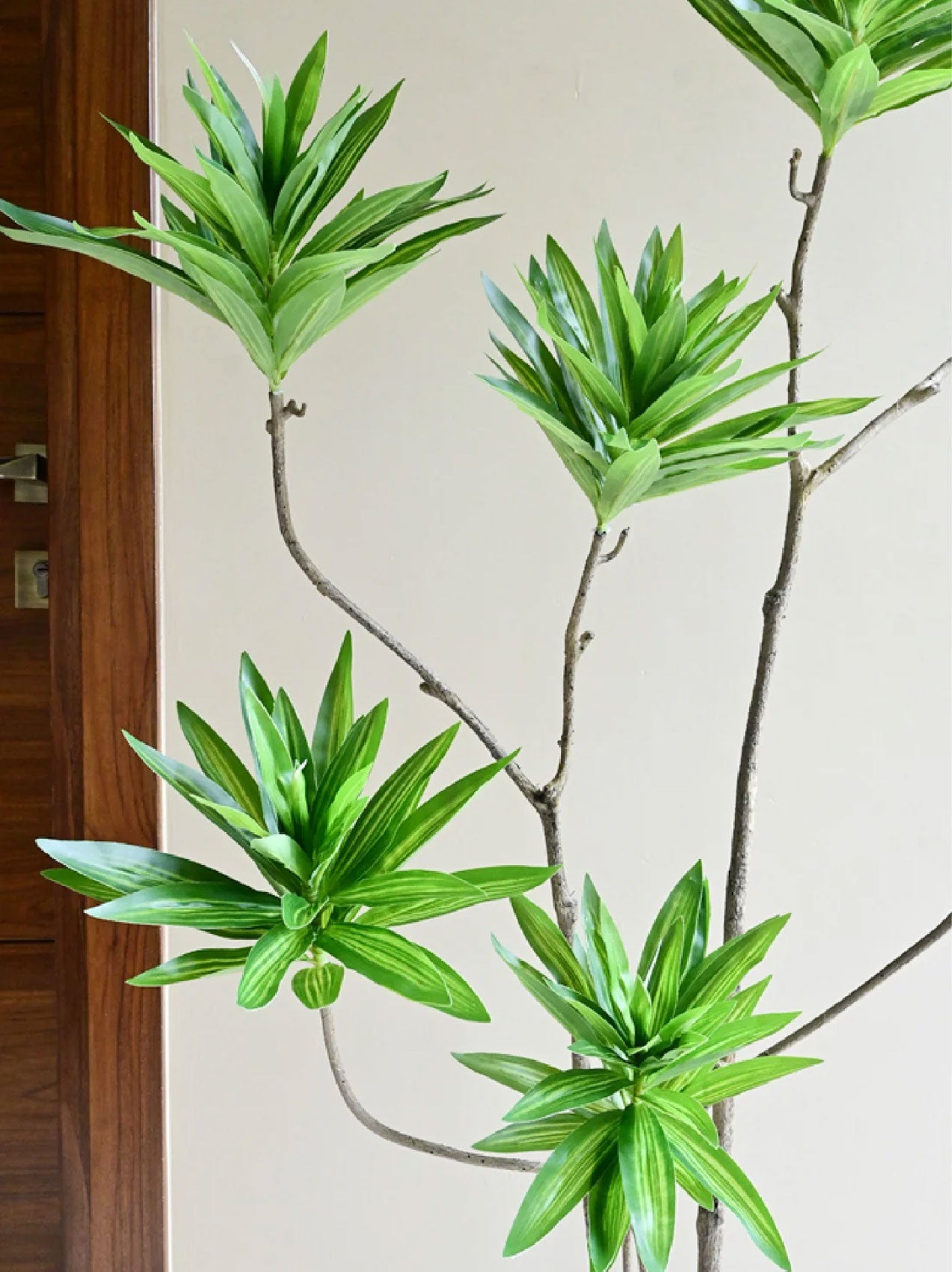 Artificial Green Haven Faux Dracaena Plant – 145 cm, with Basic Pot