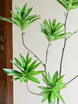 Artificial Green Haven Faux Dracaena Plant – 145 cm, with Basic Pot