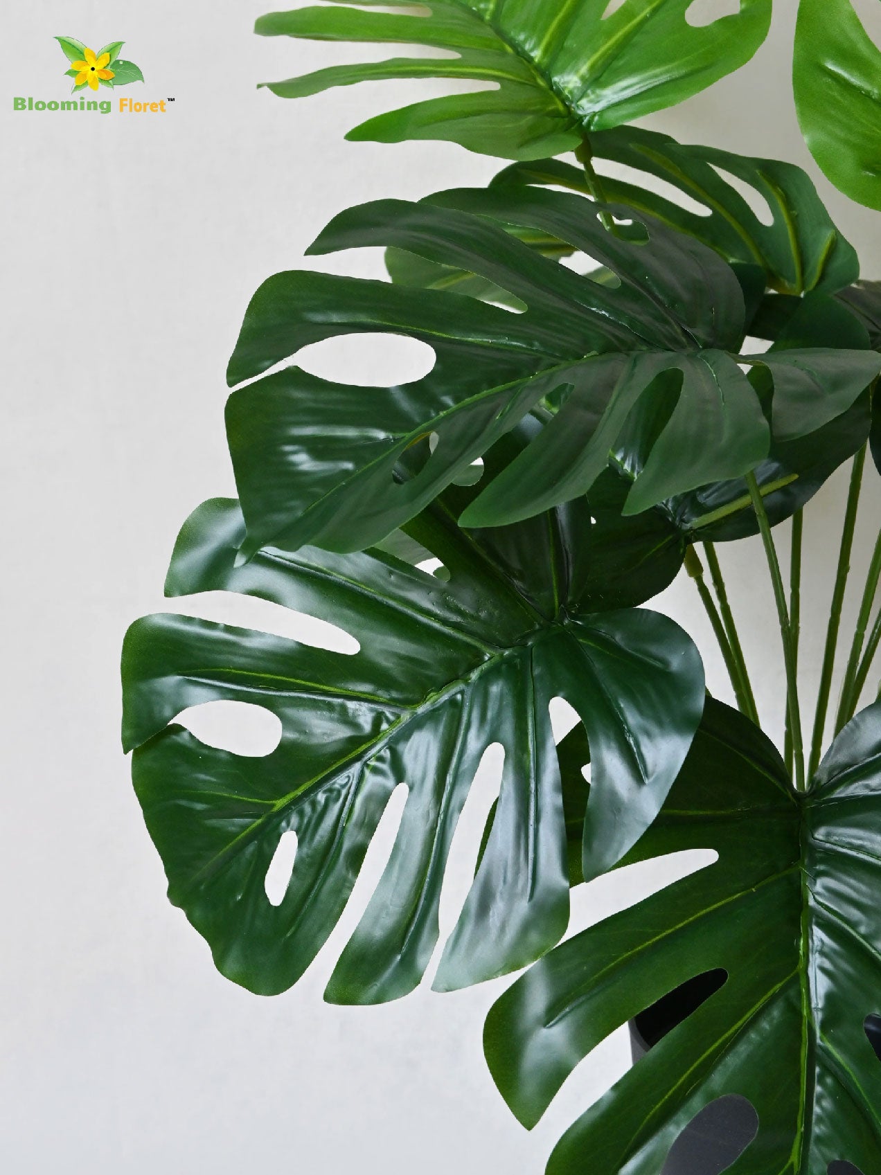 Artificial Monstera Plant | Light Green Leaves | 50 cm | 12 Leaves | With Basic Pot