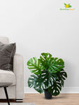 Artificial Monstera Plant – 60 cm, 12 Leaves, Light Green, with Basic Pot