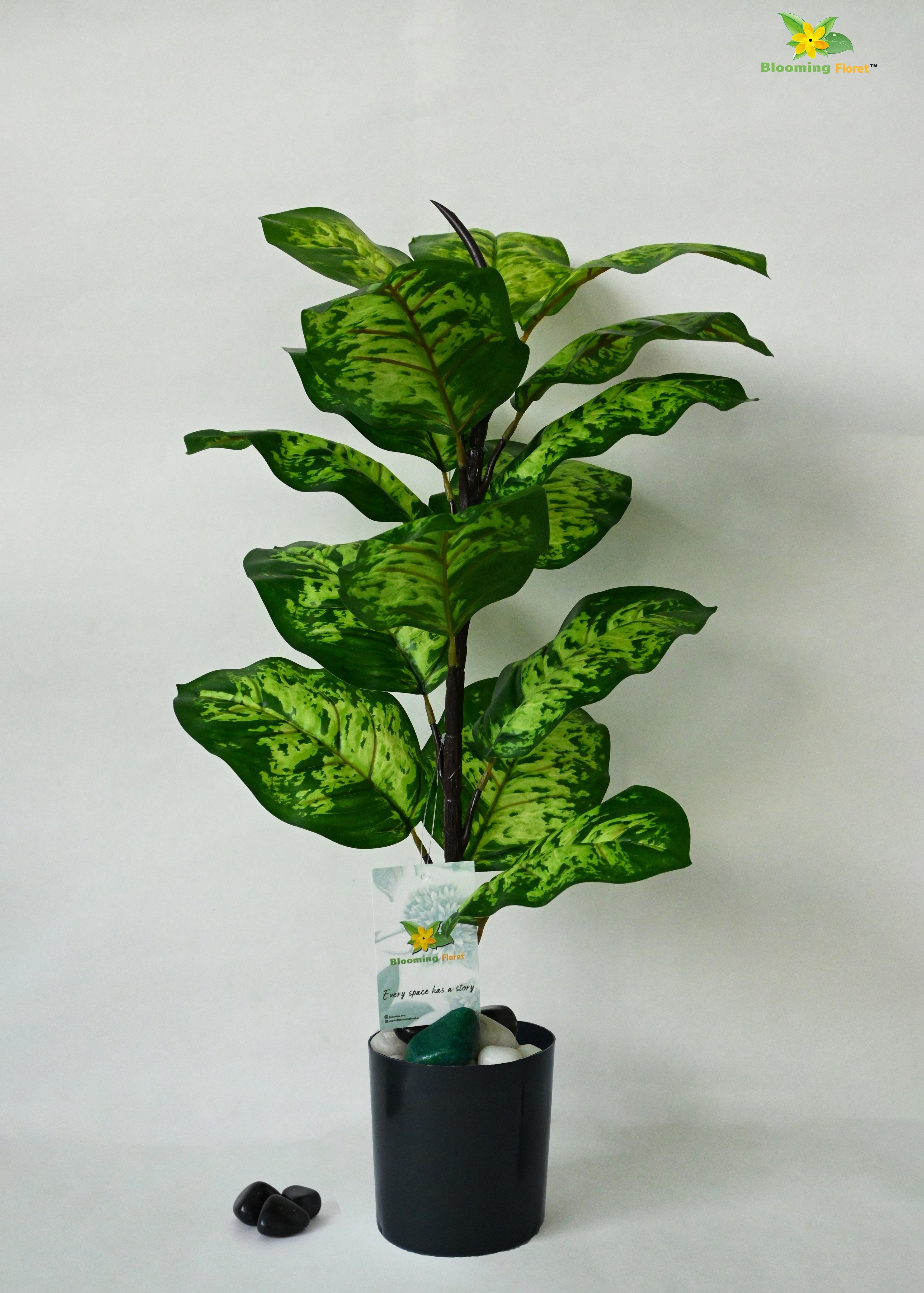 Artificial Dieffenbachia Seguine Plant For Decor | 15 Leaves with Basic Pot | 60.9 cm