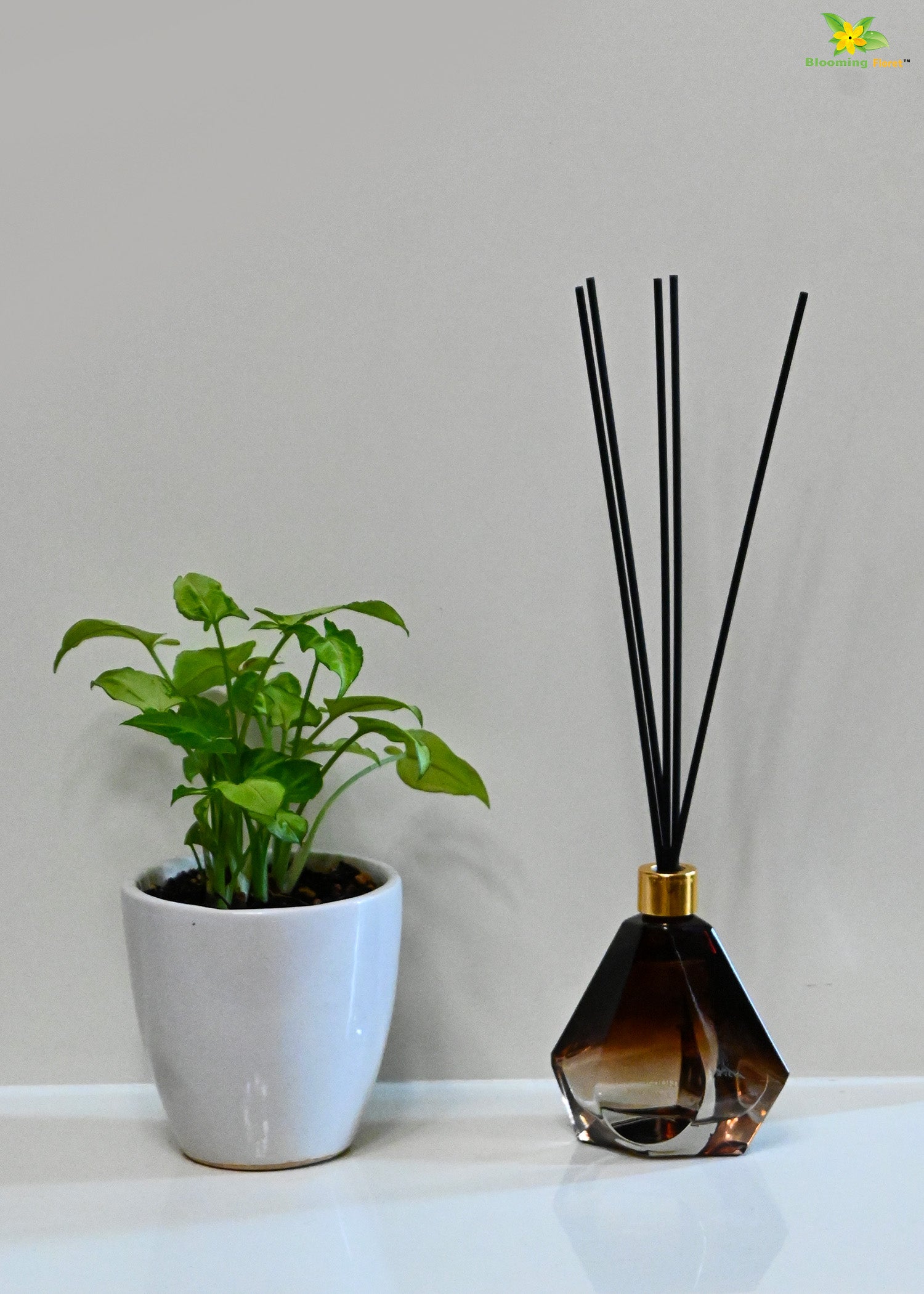 Mystic Aura Reed Diffuser