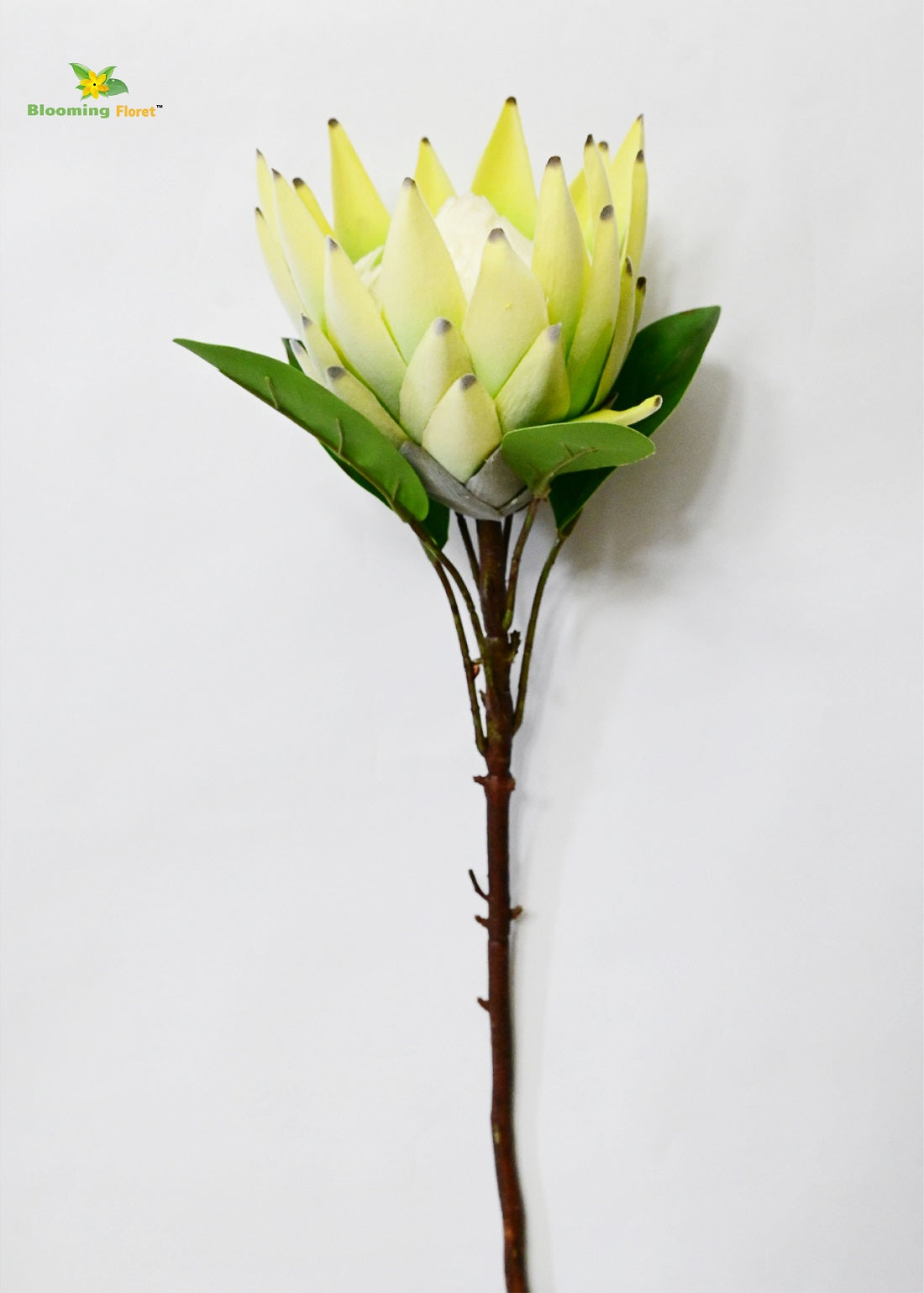 Queen Protea Flower Stick