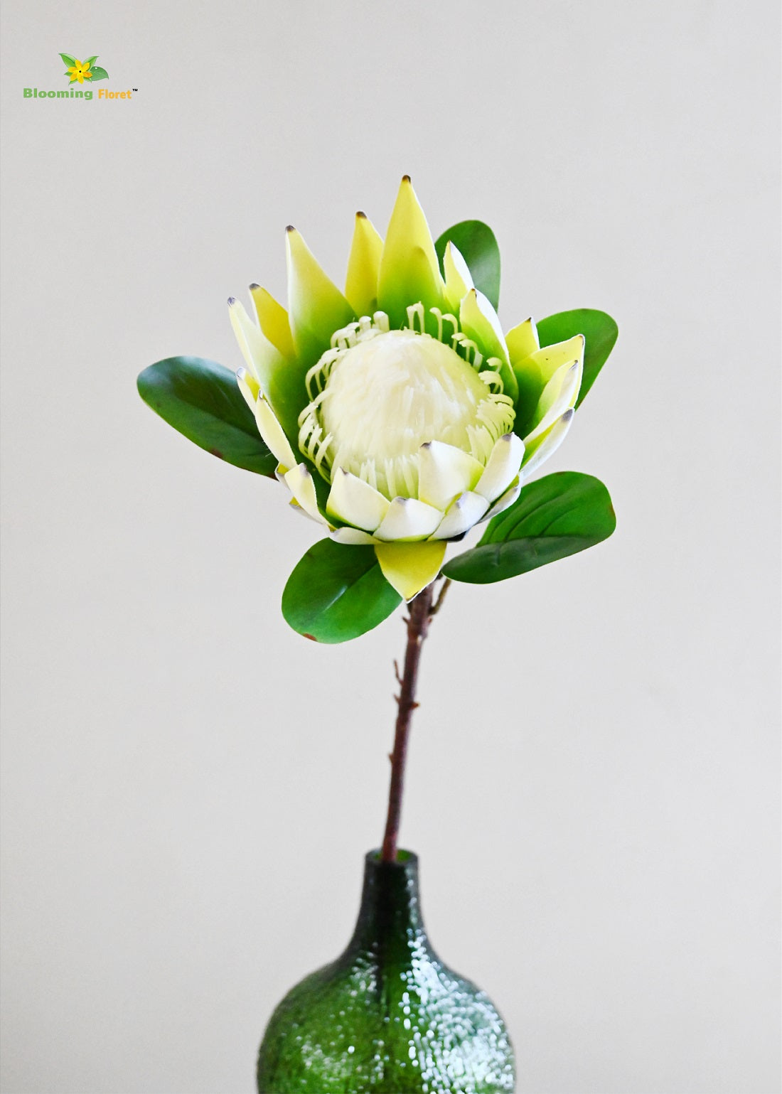 Queen Protea Flower Stick