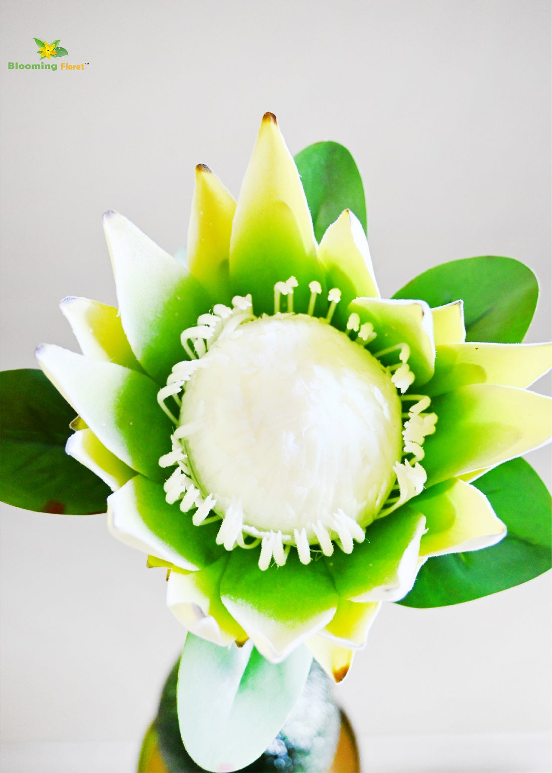 Queen Protea Flower Stick