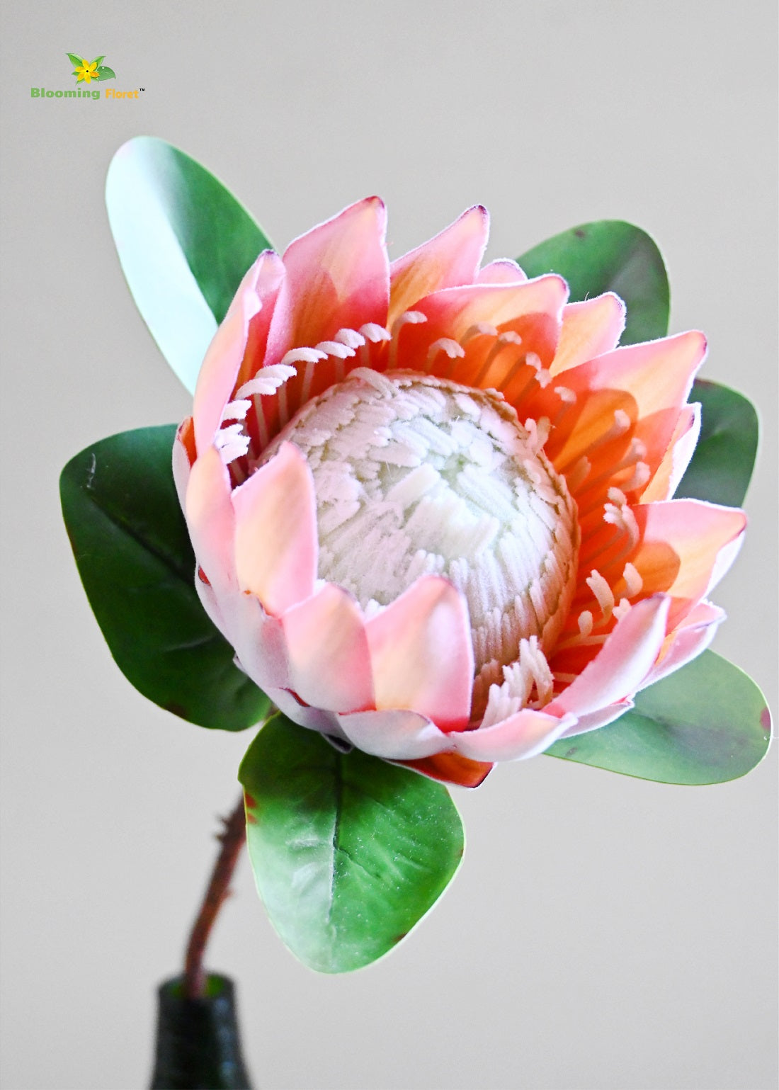 Queen Protea Flower Stick