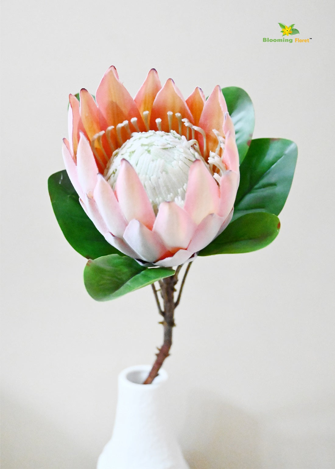 Queen Protea Flower Stick