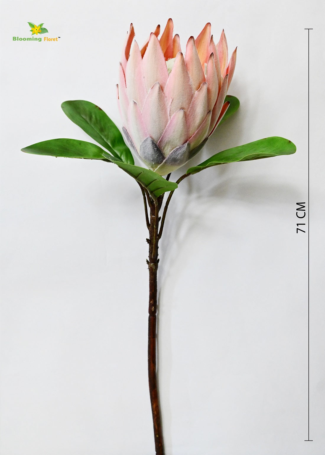 Queen Protea Flower Stick