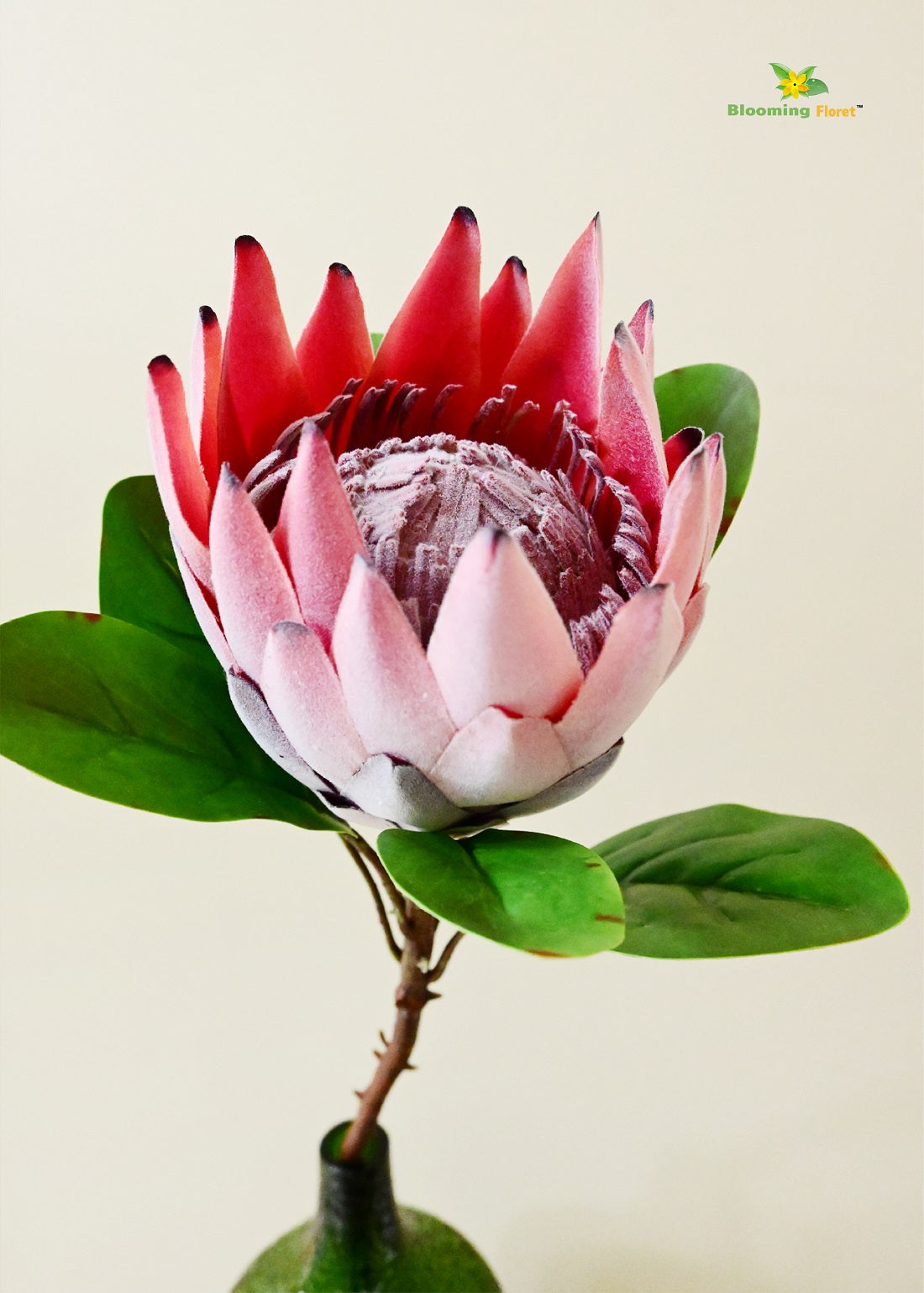 Queen Protea Flower Stick