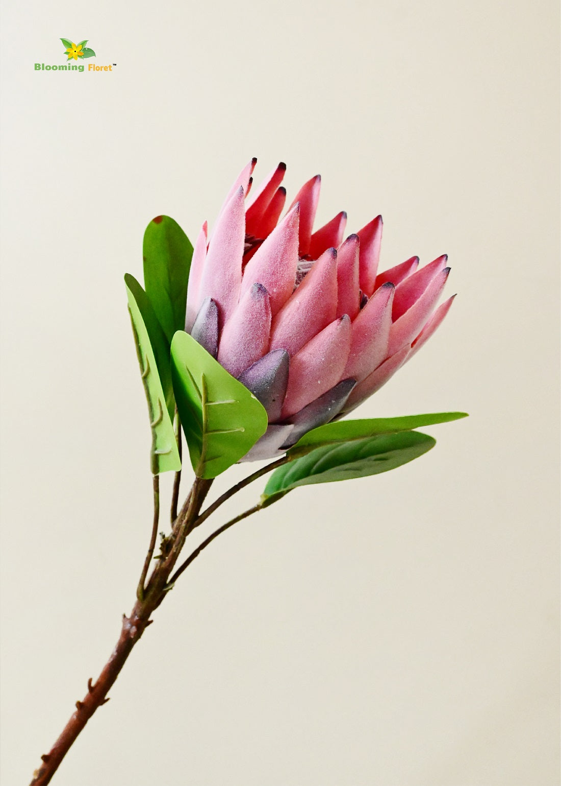 Queen Protea Flower Stick