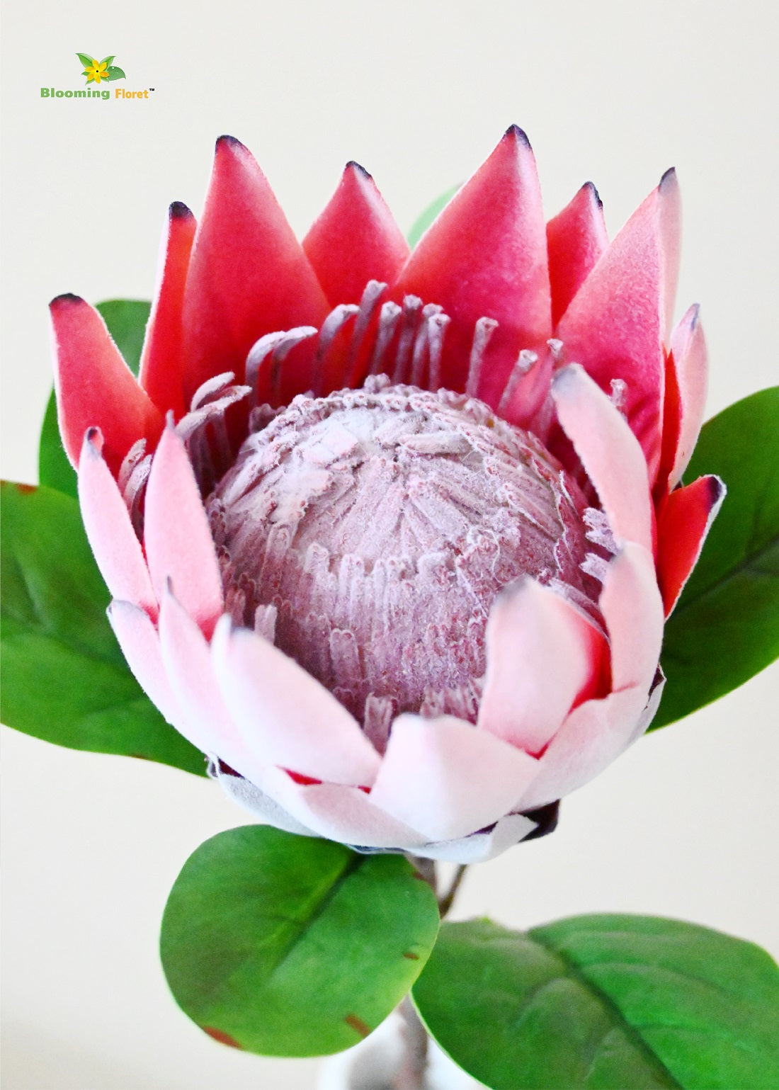 Queen Protea Flower Stick