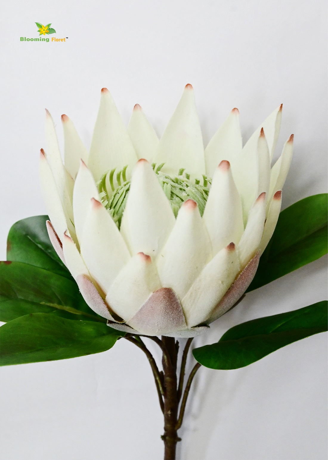 Queen Protea Flower Stick