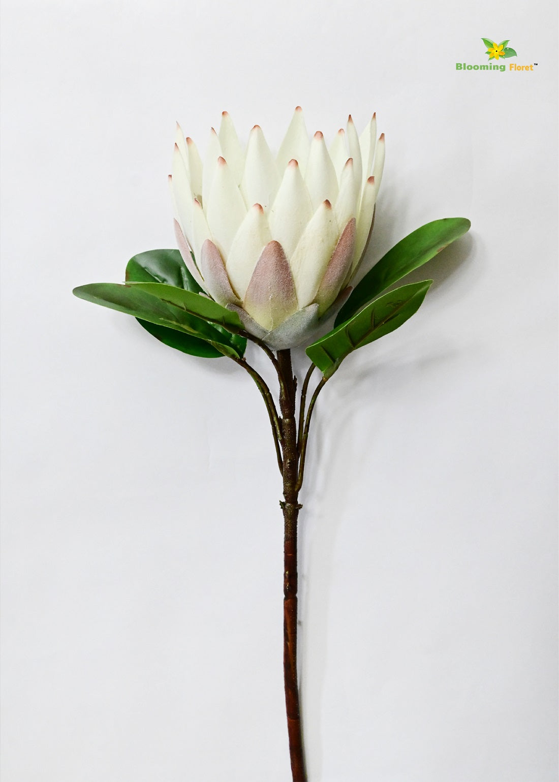 Queen Protea Flower Stick