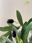 Overleaf Faux Olive Tree - 145 cm