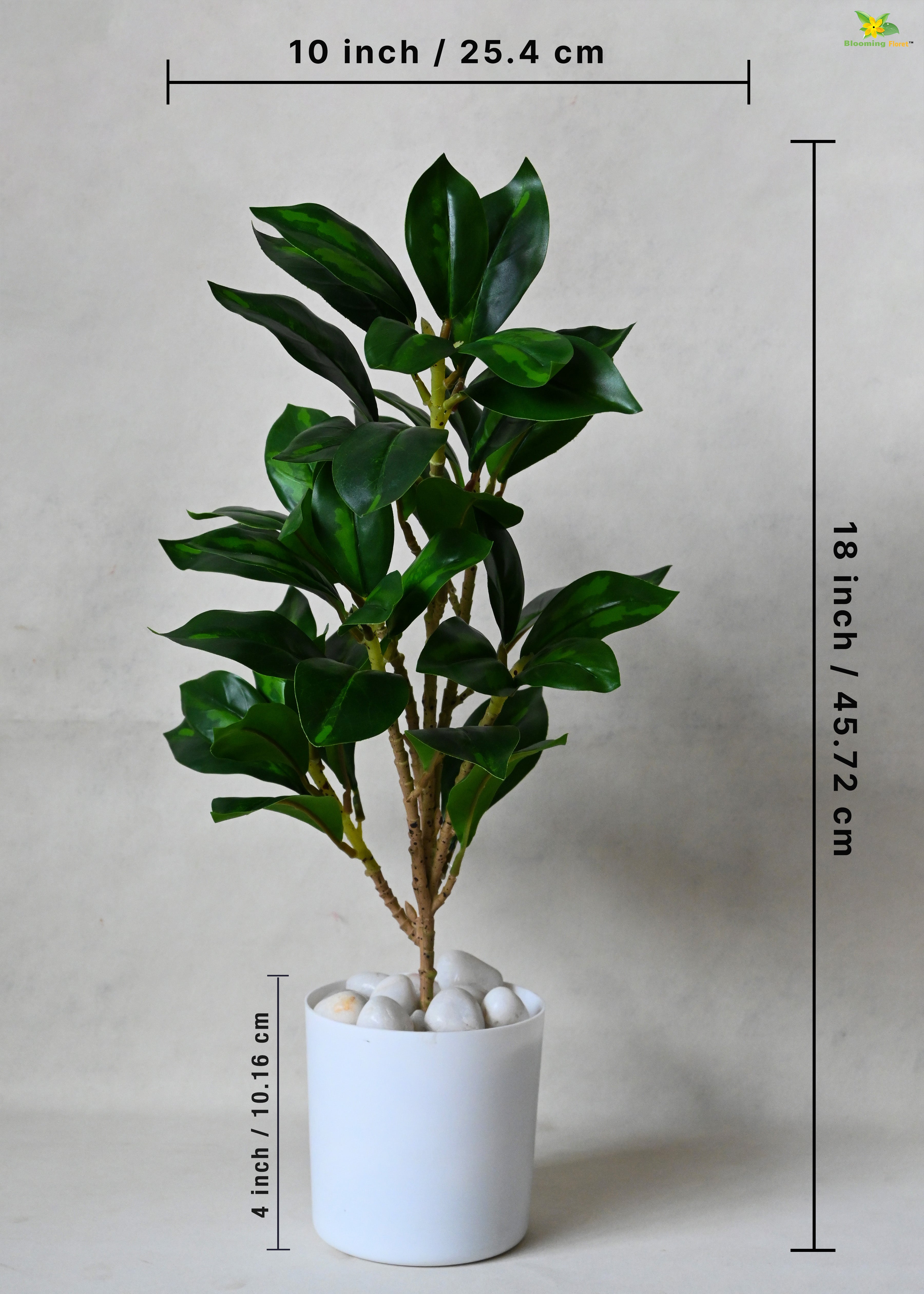 Artificial Zamioculcas Zamiifolia Plant for Decor with Basic Pot | 45.7 cm