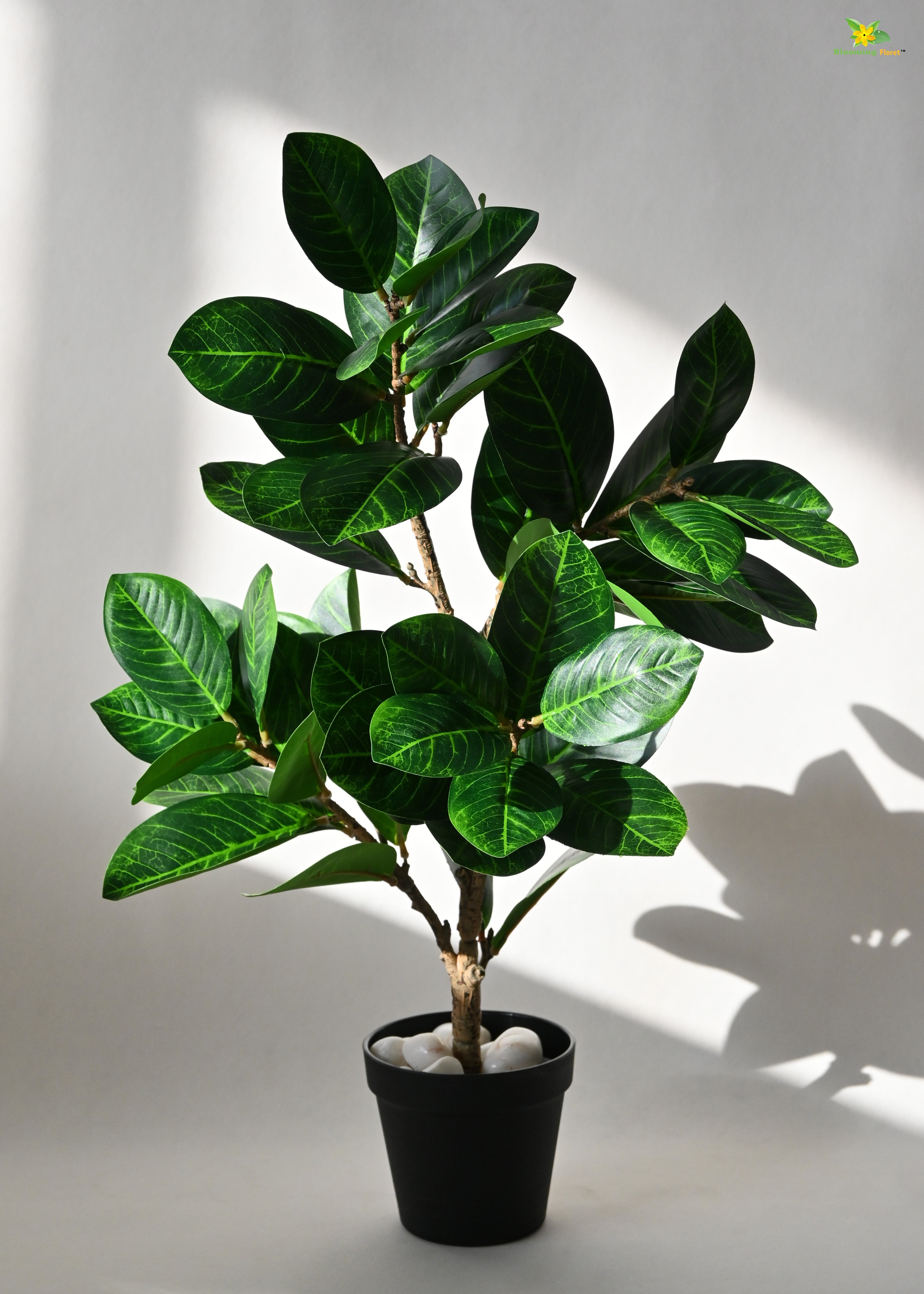 Artificial Fig Plant for Decor | 52 Leaves with Basic Pot | 68.5 cm