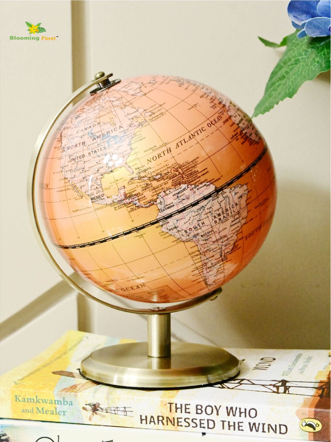 Globe on Metal Stand