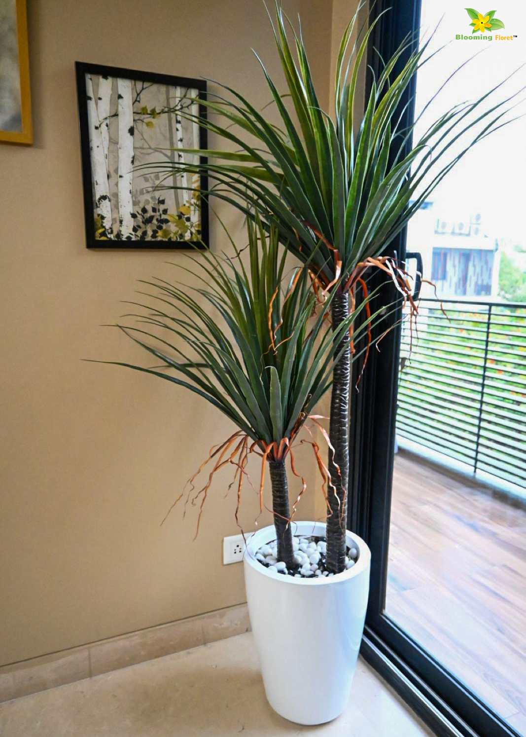 Artificial Yucca Plant | 167.6 cm Tall | Without Pots