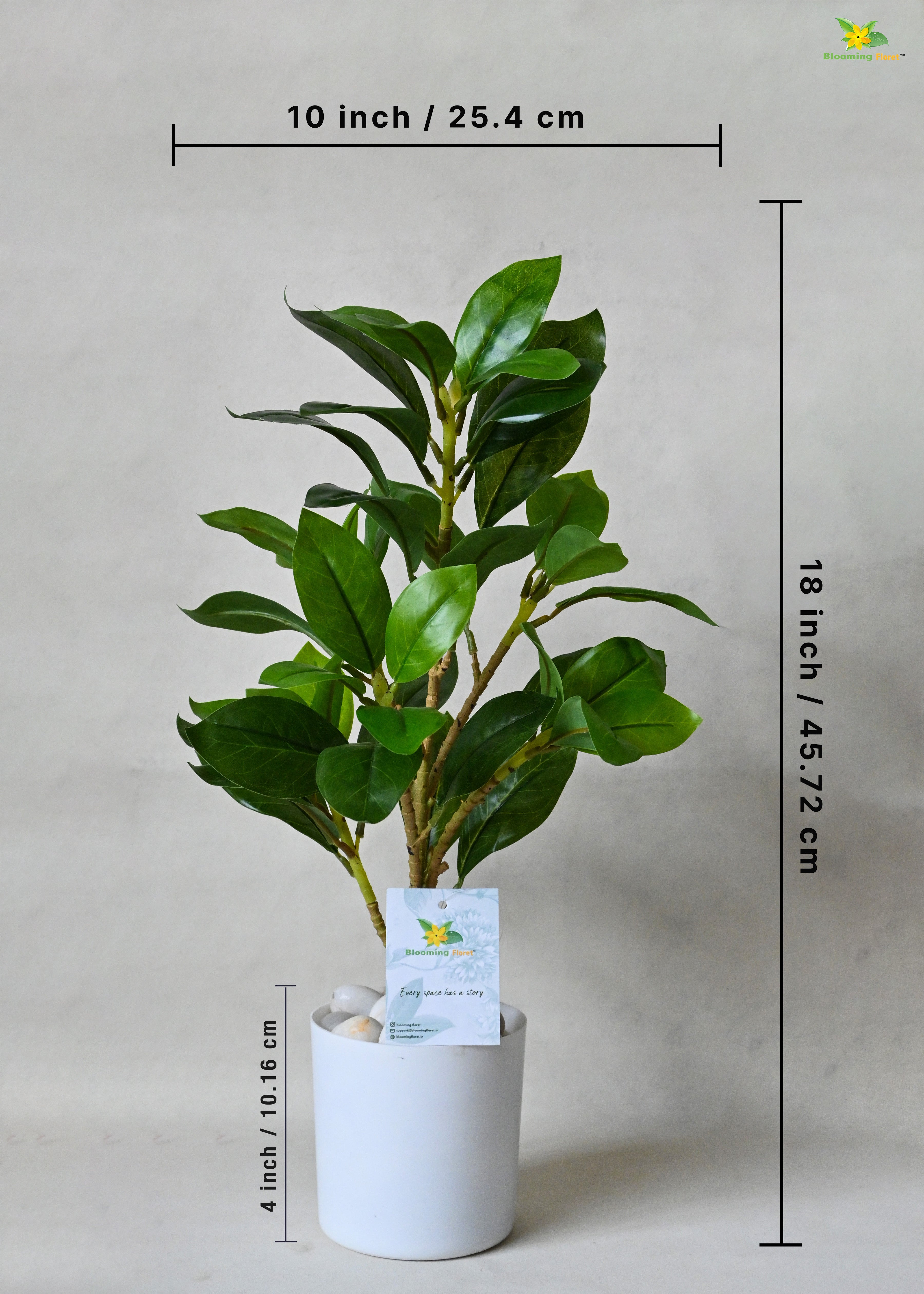 Artificial Zamioculcas Zamiifolia Plant for Decor with Basic Pot | 45.7 cm