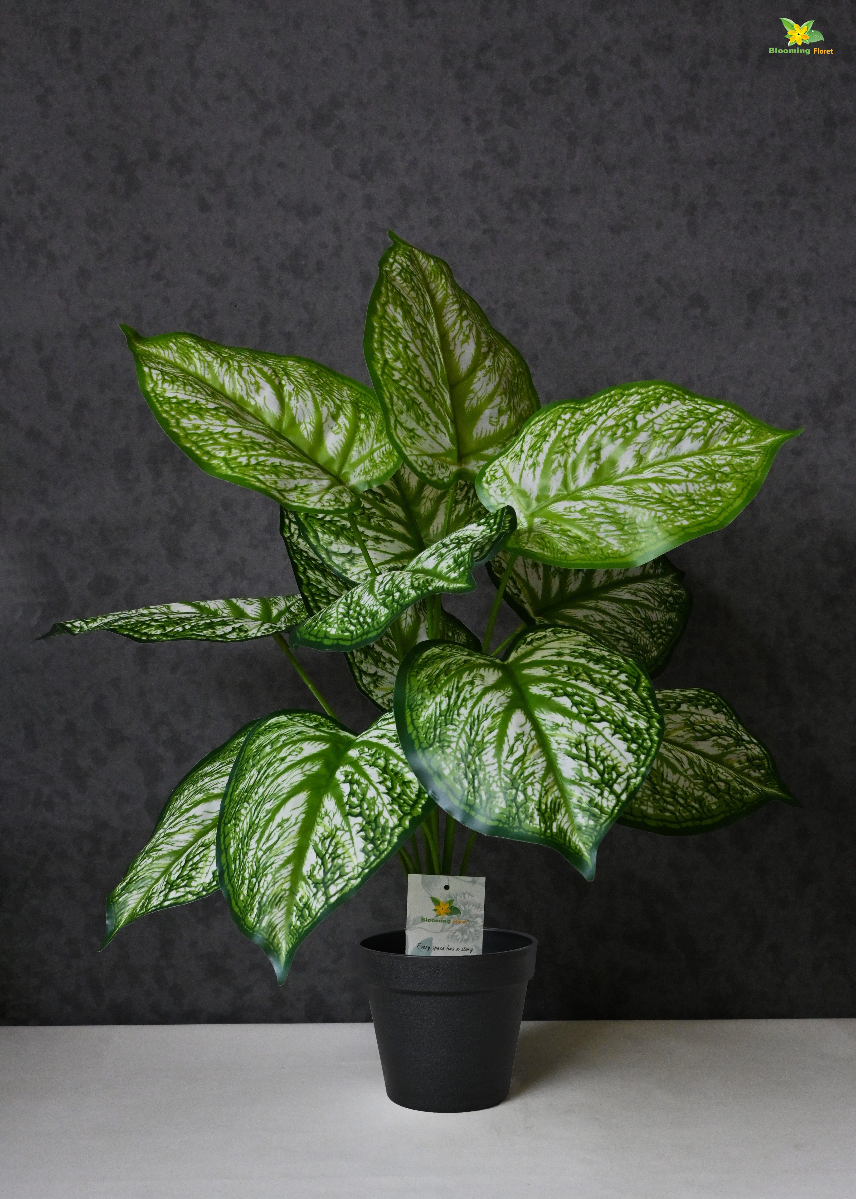 Artificial Devil's Ivy Plant for Decor 12 Leaves with Basic Pot | 65 cm