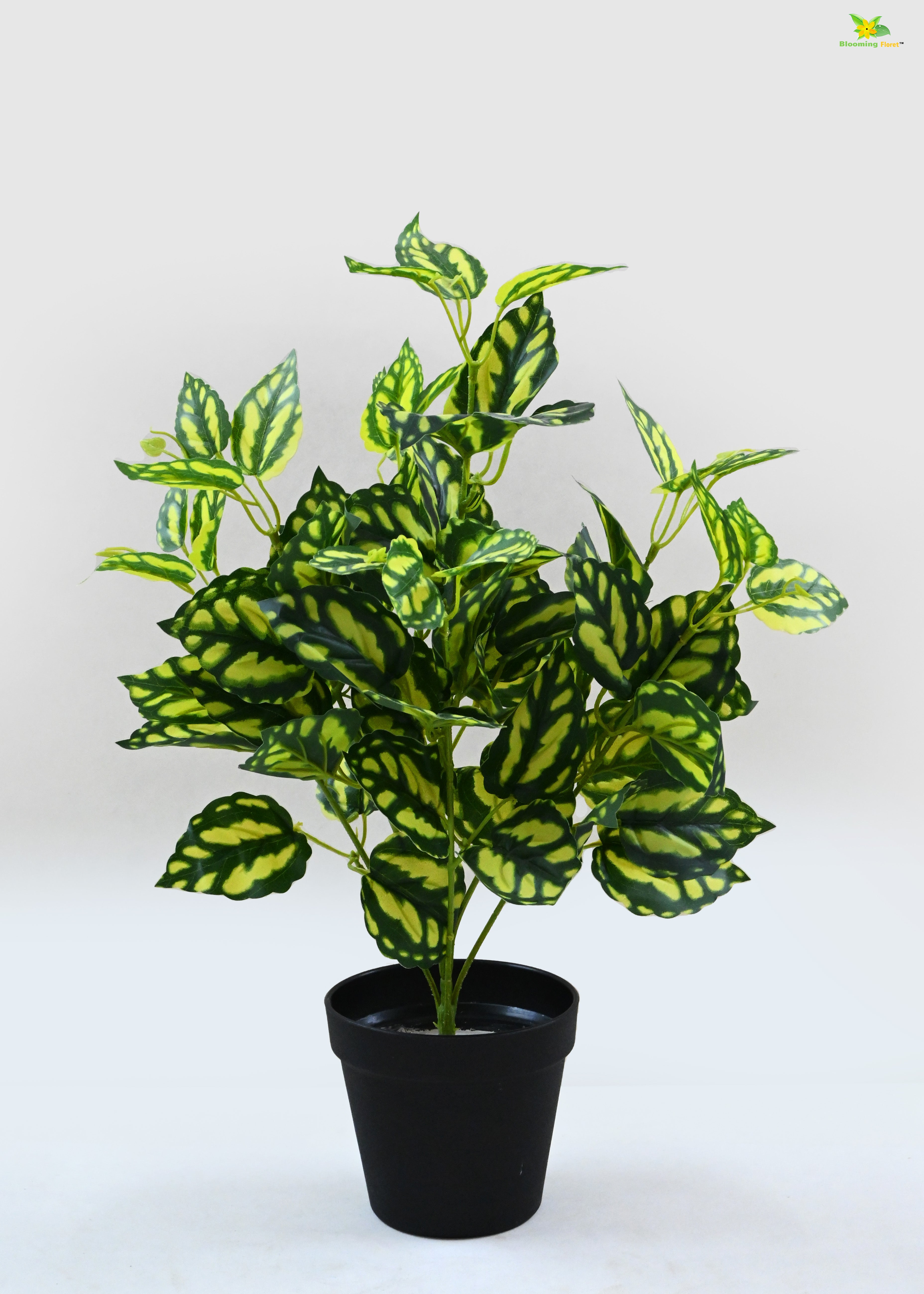 Artificial Peacock Plant for Decor | with Basic Pot | 48.3 cm