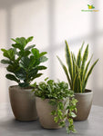 Decorative Pots | Light Brown | 17 cm | Set of 3