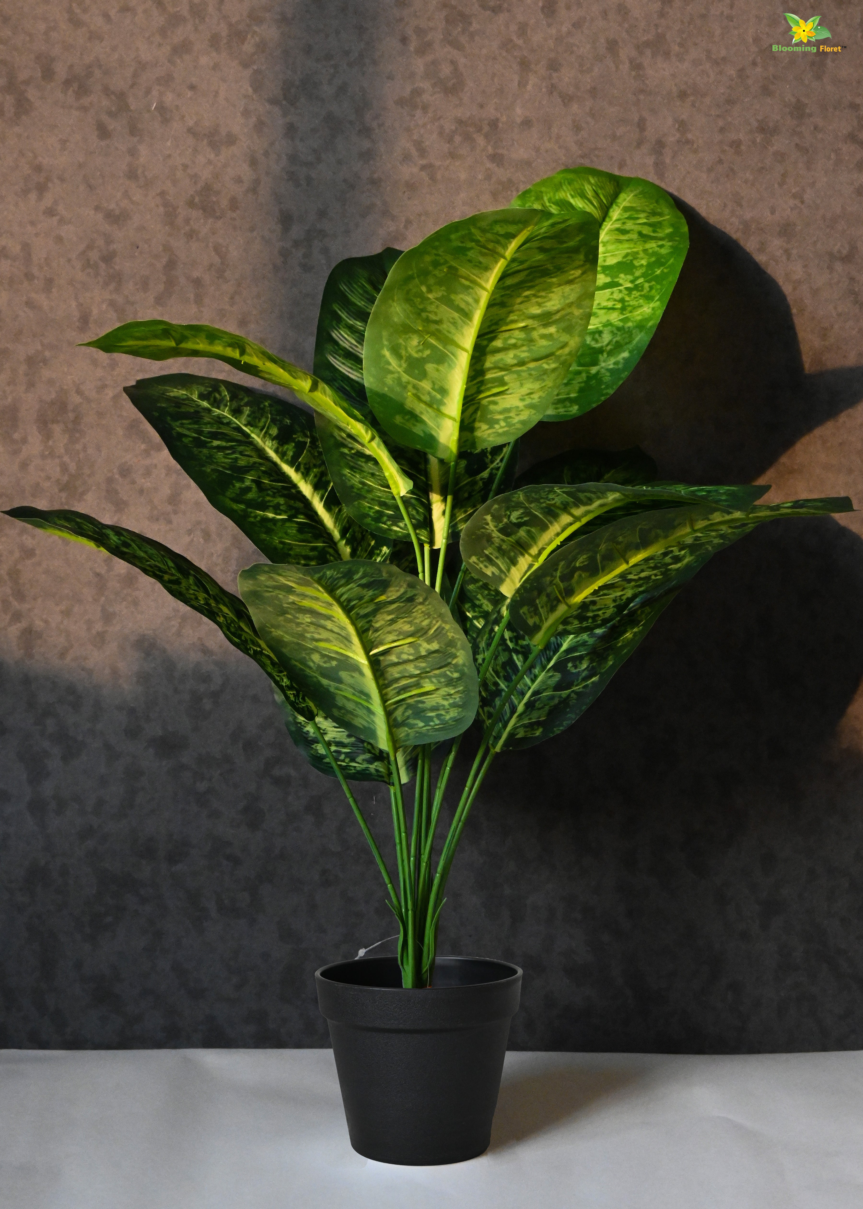 Artificial Dieffenbachia Plant for Decor 12 Leaves with Basic Pot | 63.5 cm