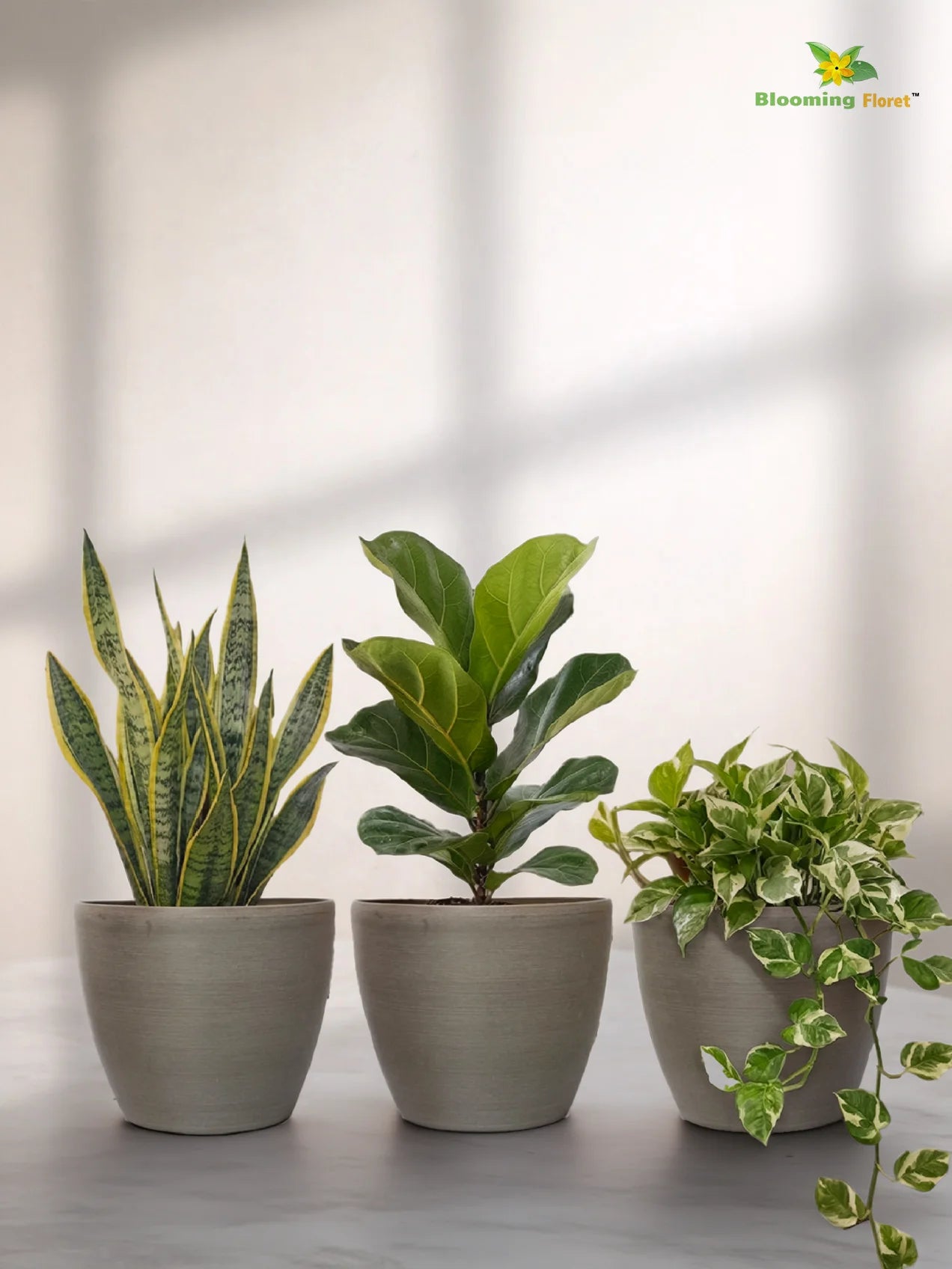 Decorative Pots | Light Brown | 12 cm | Set of 3
