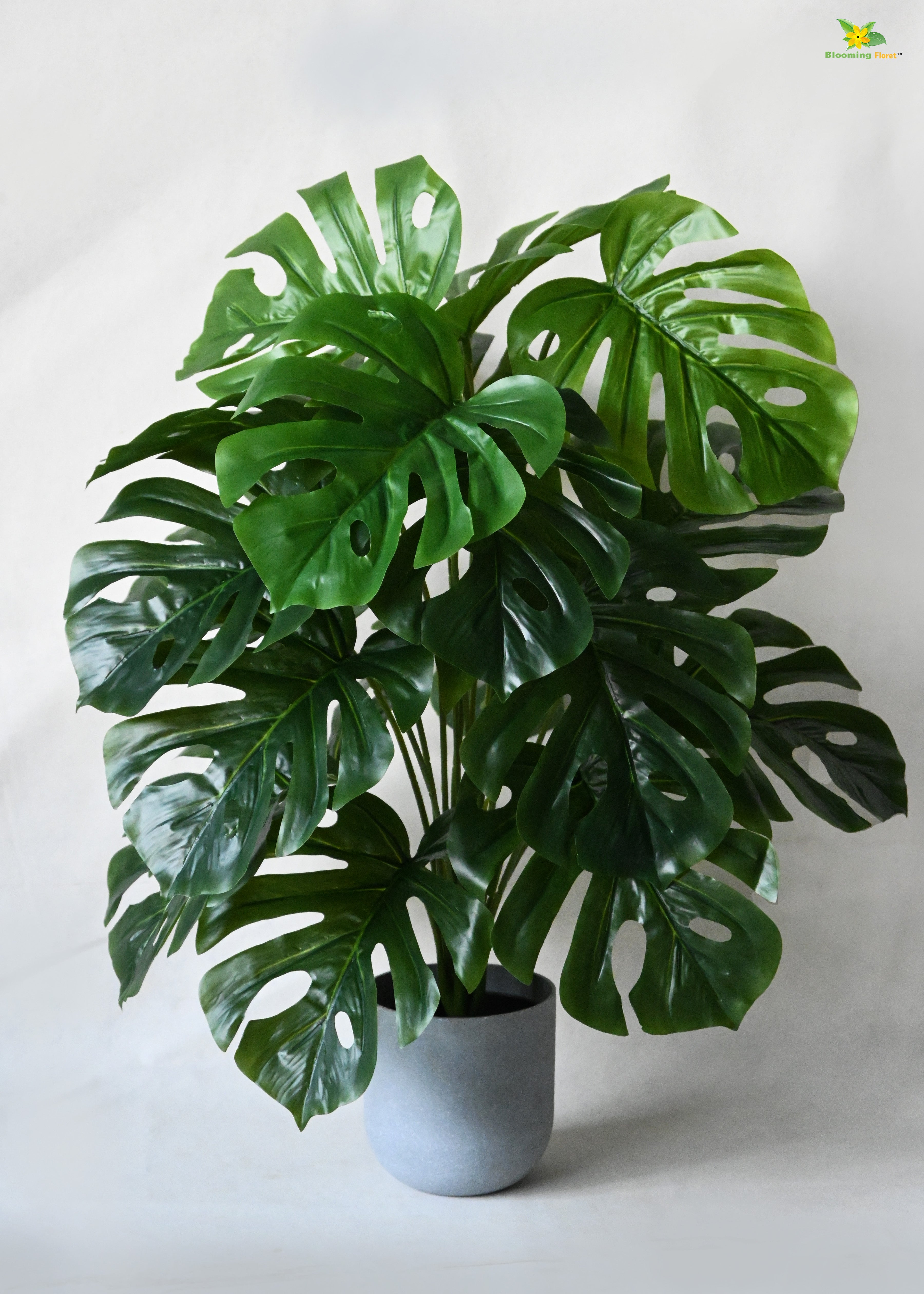 Artificial Monstera Plant for Decor | 18 Leaves with Basic Pot | 78.7 cm