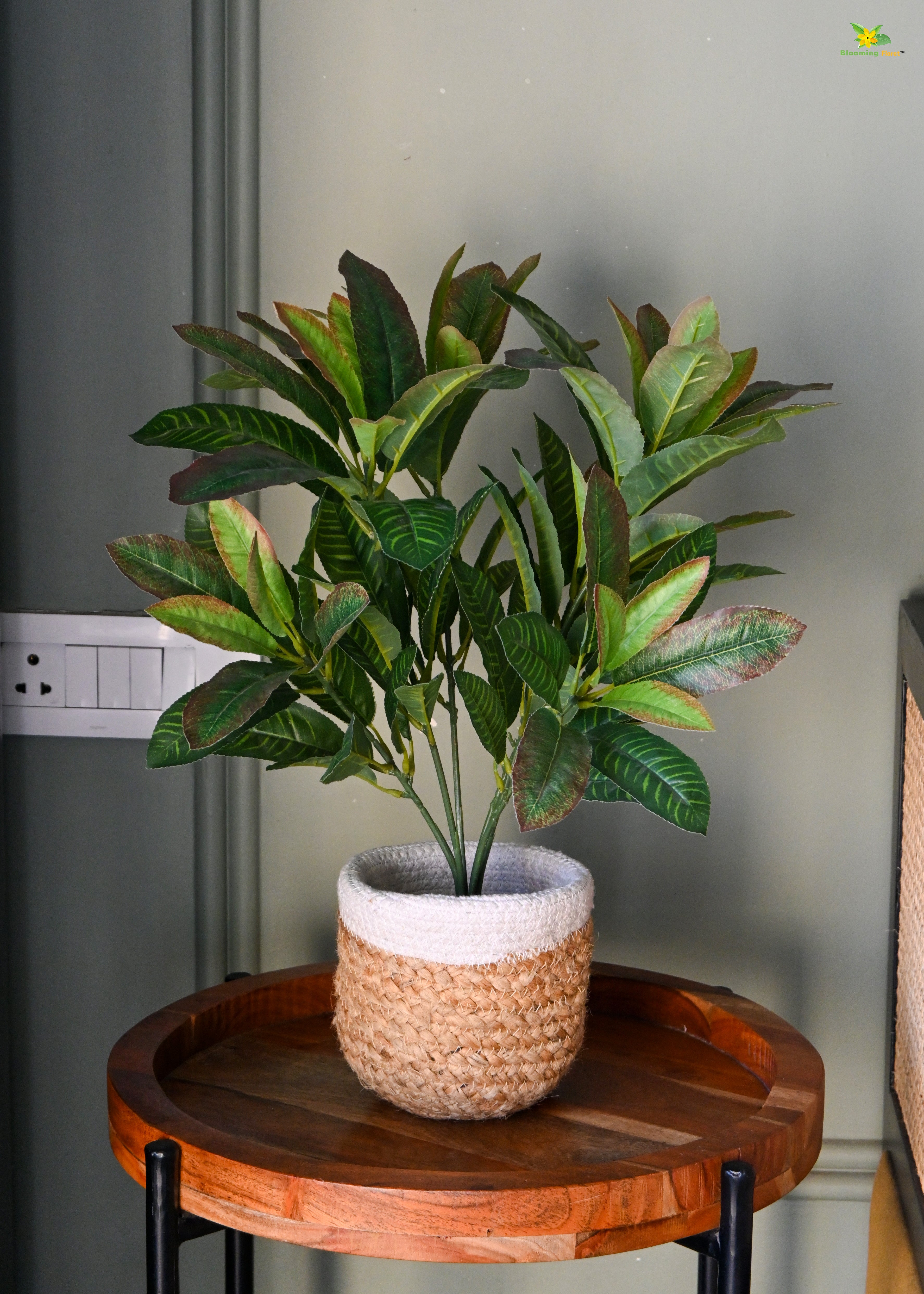 Artificial Croton Leaf Bunch Plant for Decor | 92 Leaves With Basic Pot | 50.8 cm