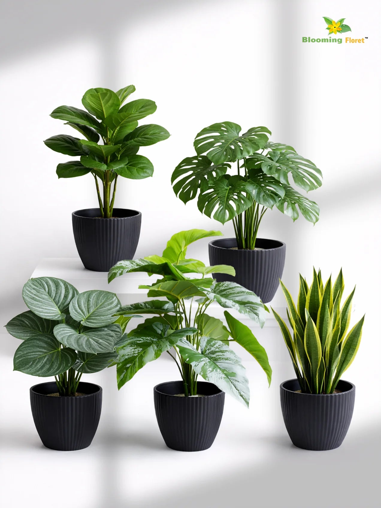 Elegant Ribbed Melamine Pot | Black | 15 cm | Set of 5