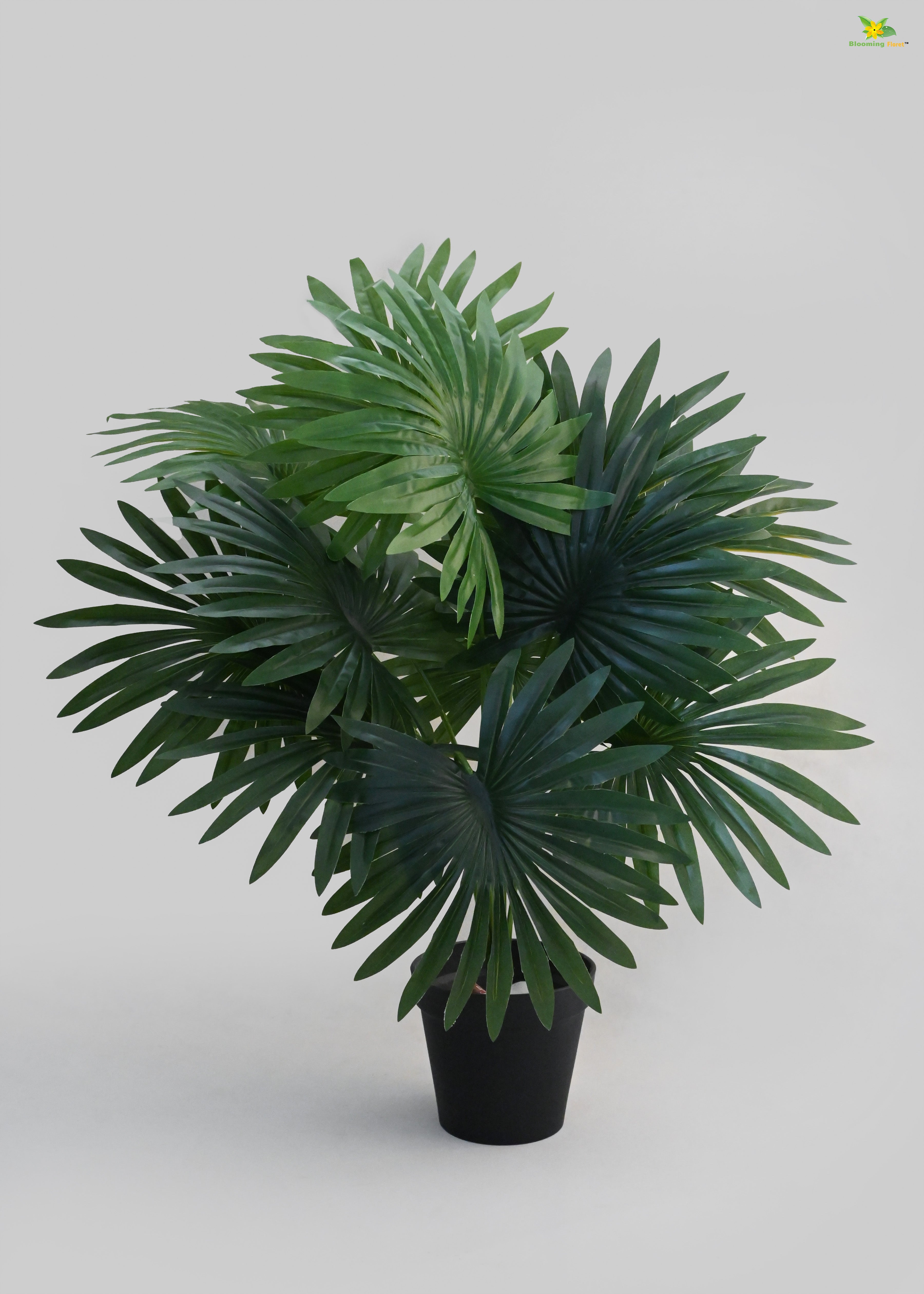 Artificial Fan Palm Plant for Decor | 12 Leaves with Basic Pot | 65 cm