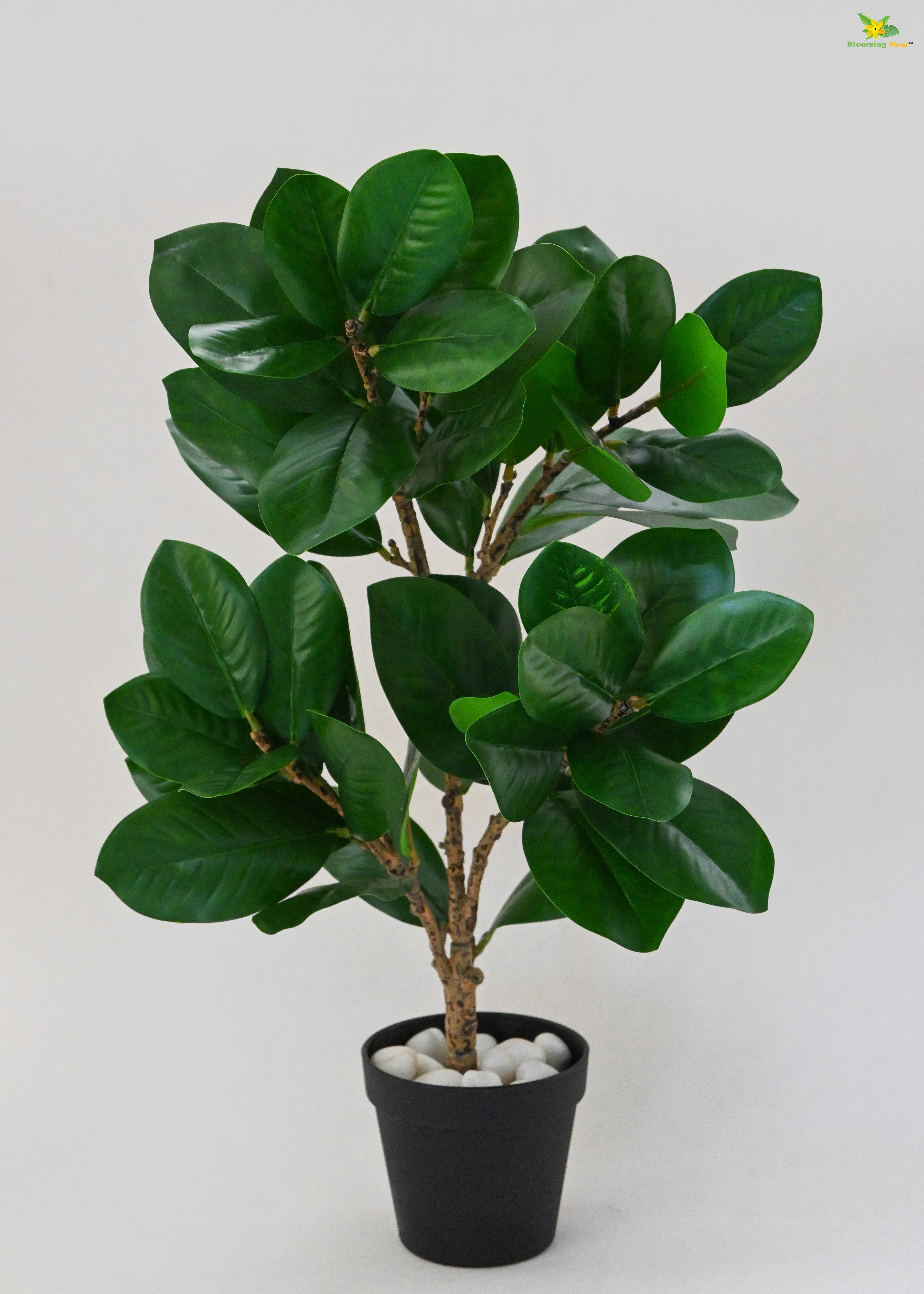 Artificial Fig Plant for Decor | 52 Leaves with Basic Pot | 68.5 cm