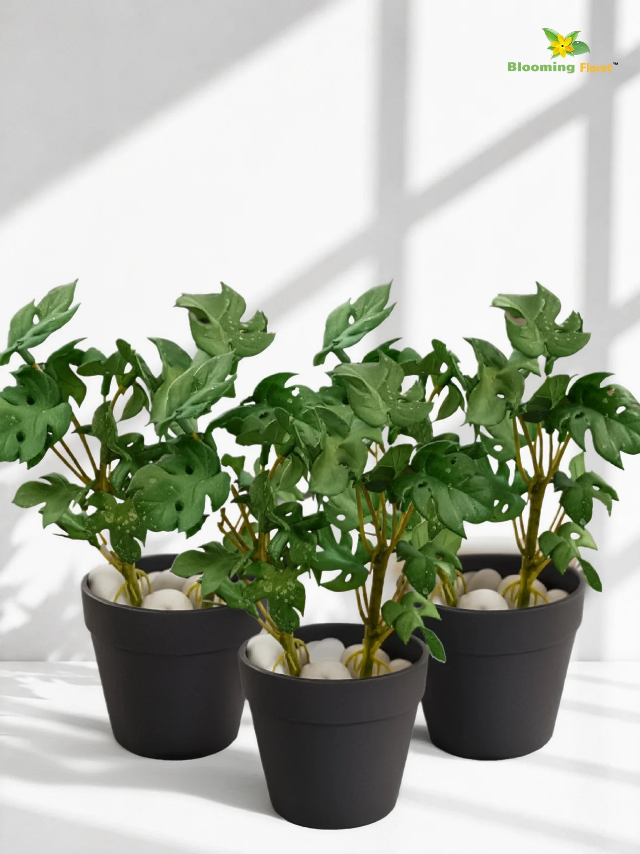 Artificial Mini Monstera Succulent | Light Green | 15 cm | Set of 3