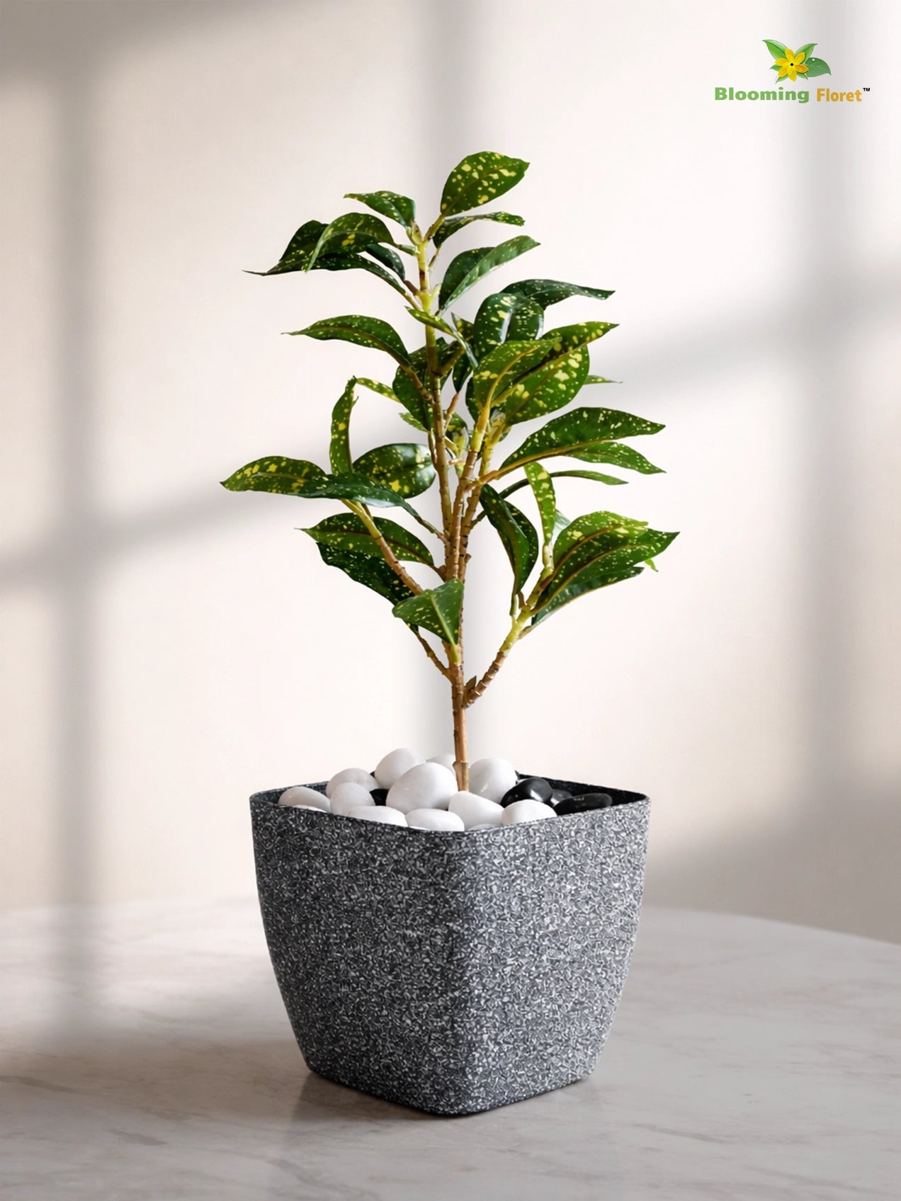 Coarse Textured Square Planter Pot | 10 cm