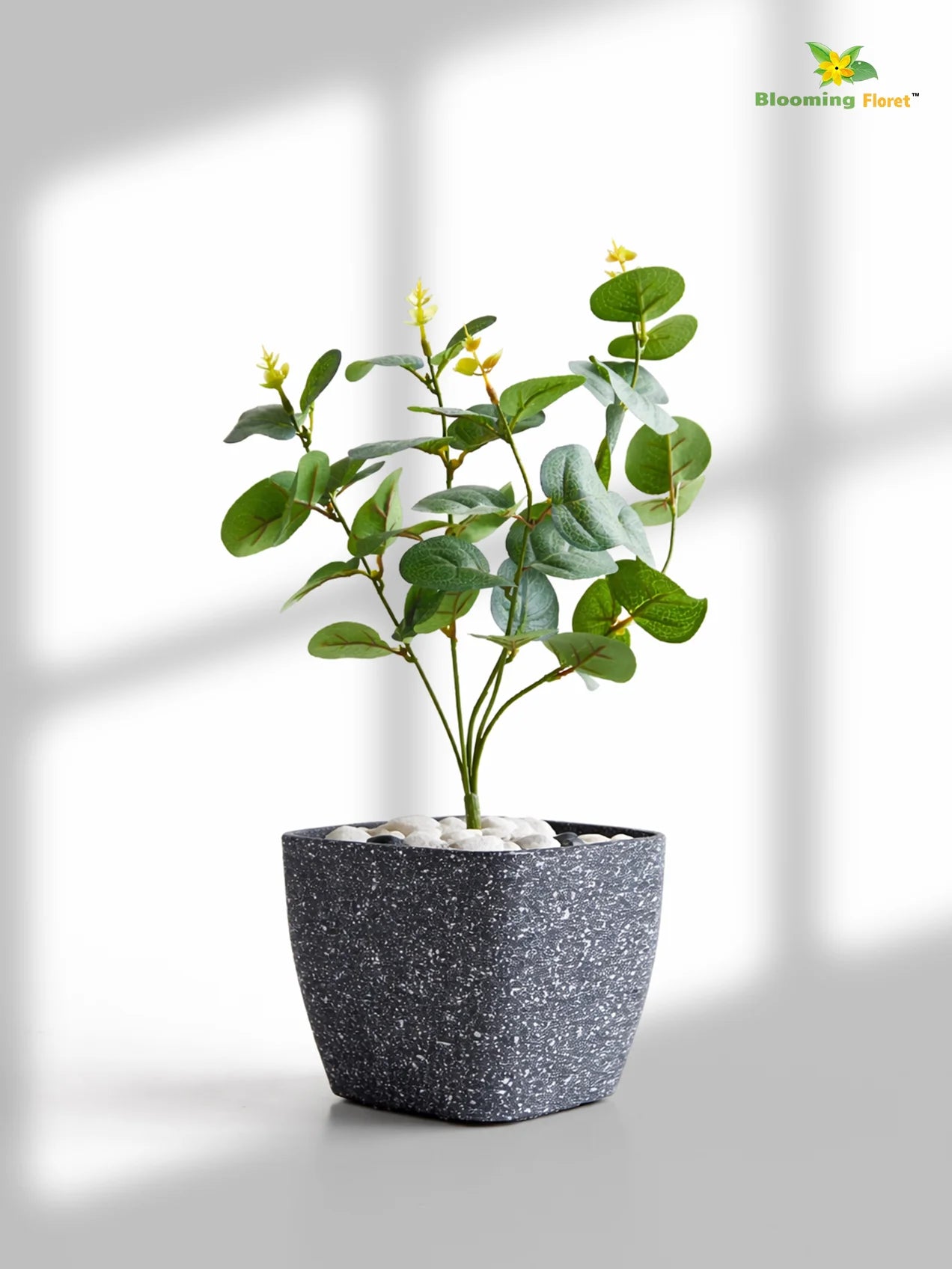 Coarse Textured Square Planter Pot | 15 cm