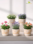 Vivid Tie-Dye Planter | Beige | 12 cm | Set of 5