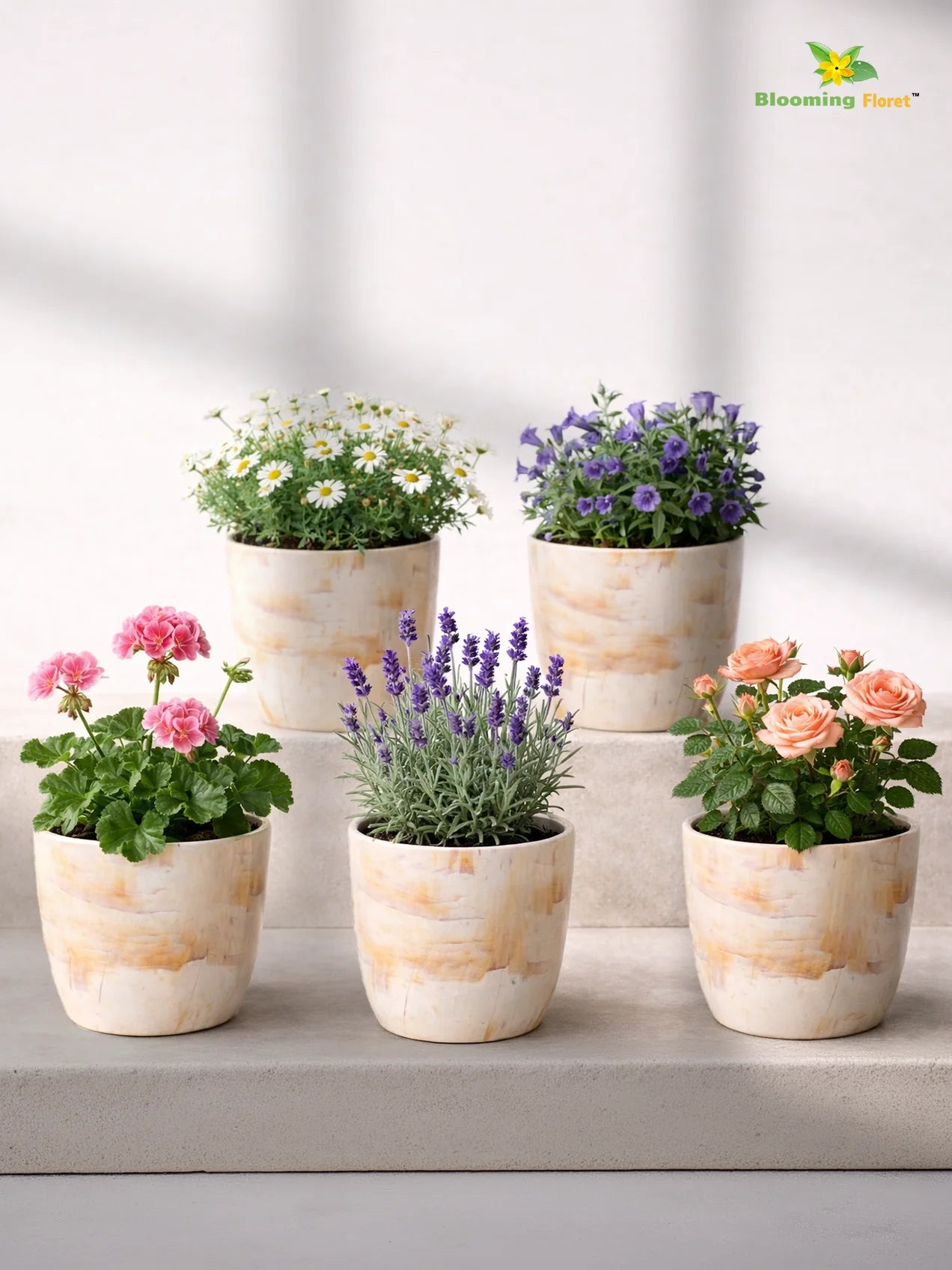 Vivid Tie-Dye Planter | Beige | 12 cm | Set of 5