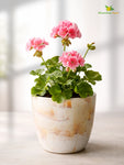 Vivid Tie-Dye Planter | Beige | 12 cm